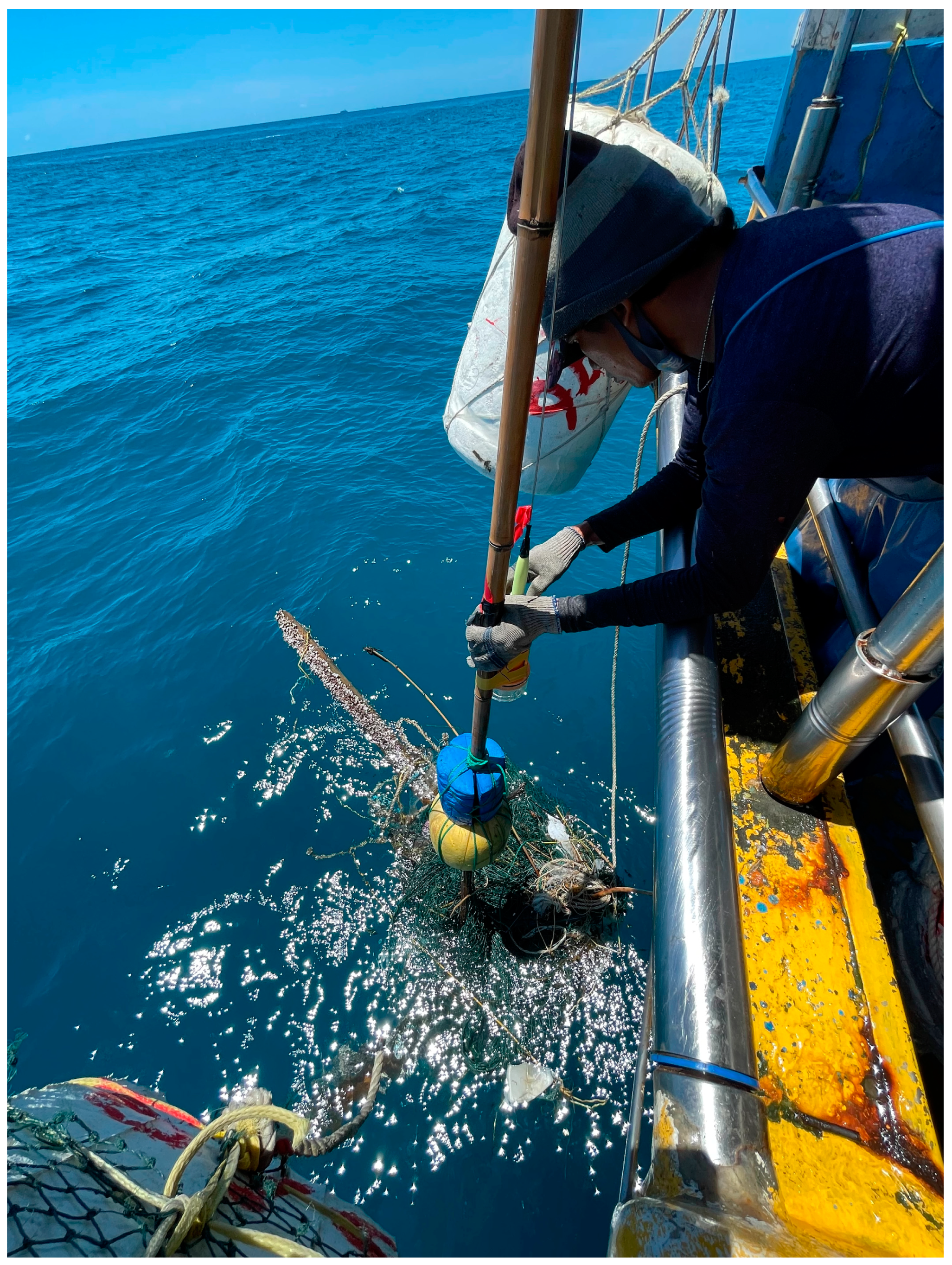 Sustainability 17 00316 g002