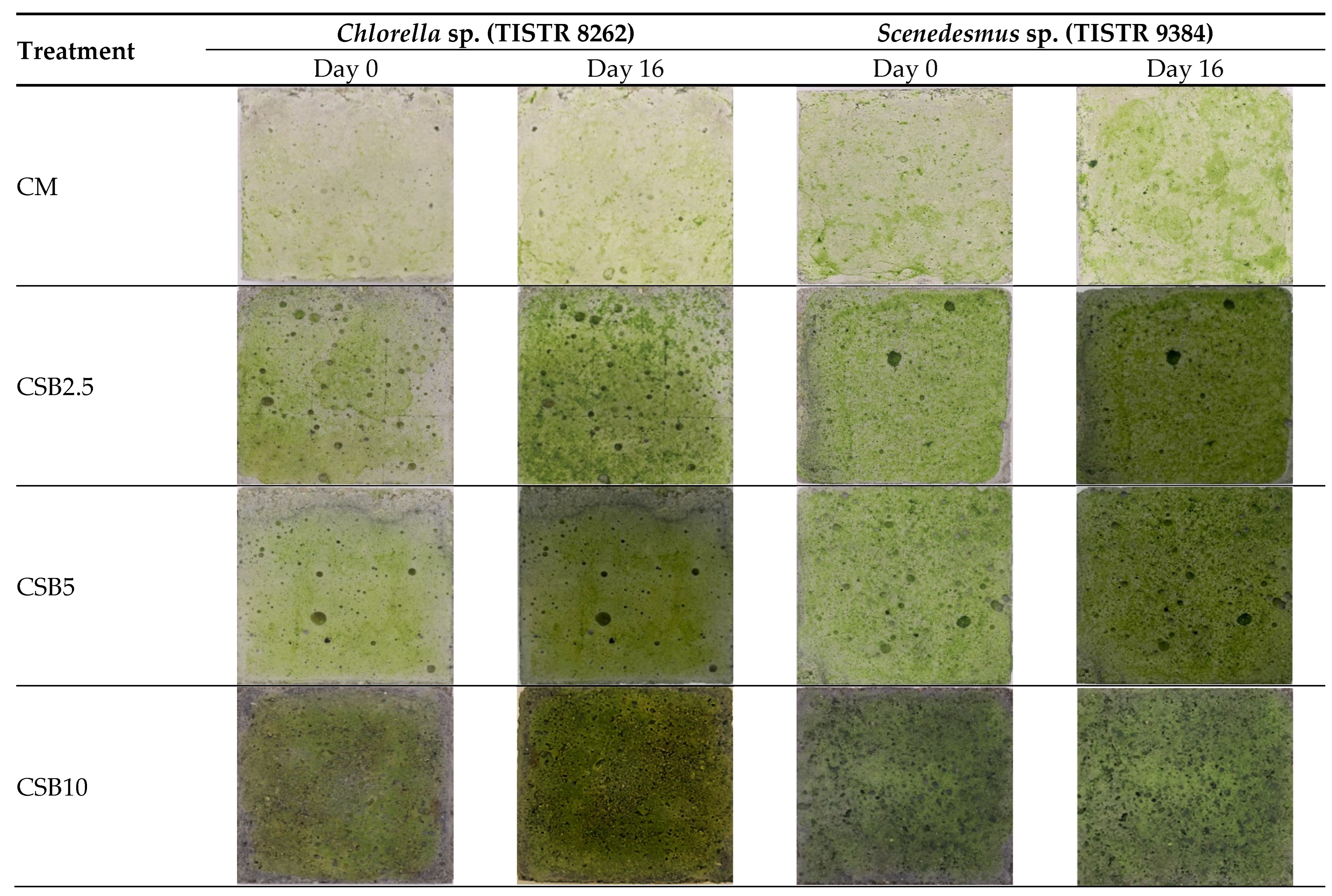 Sustainability 17 00342 g008a