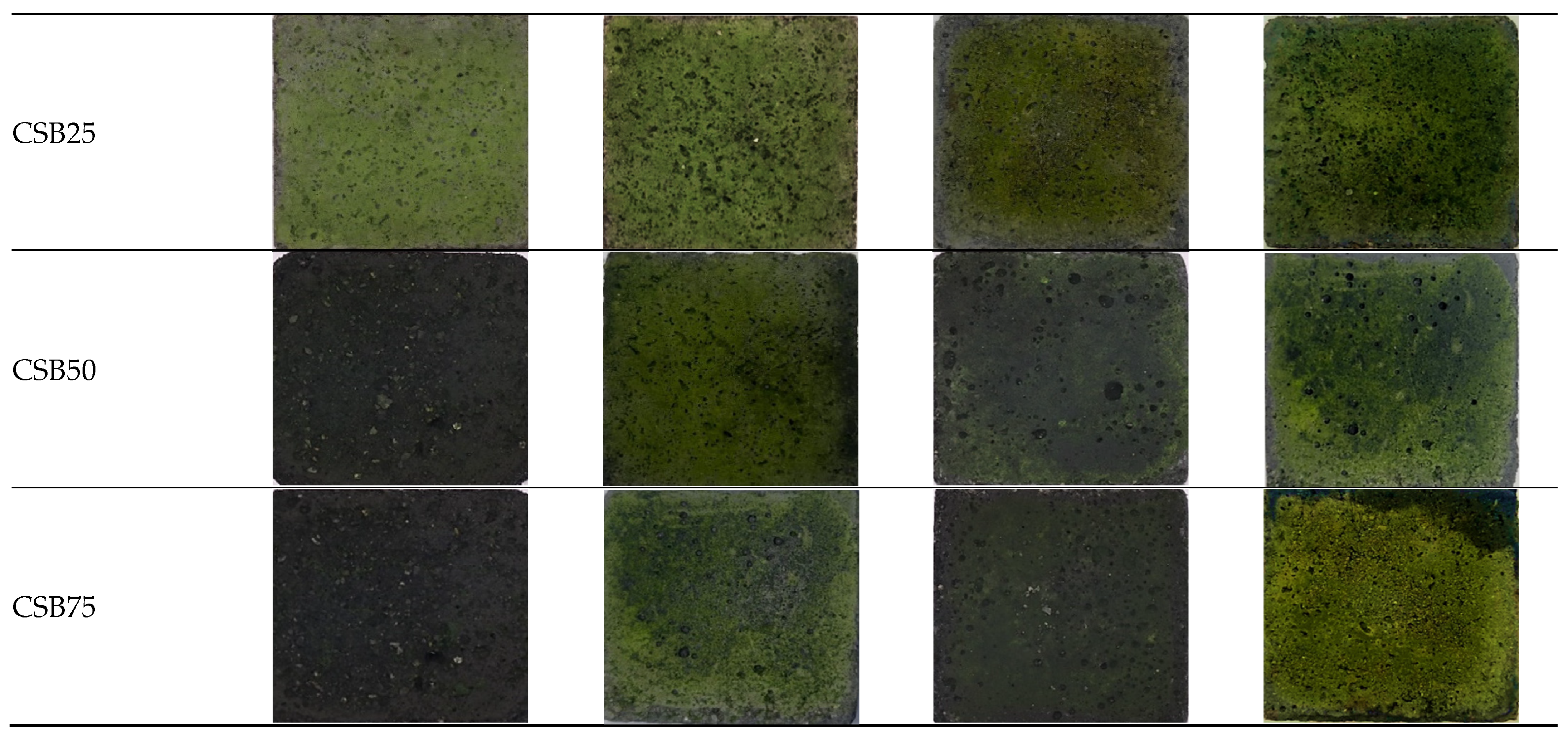 Sustainability 17 00342 g008b