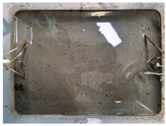 Sustainability 17 00374 i001