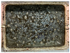 Sustainability 17 00374 i003