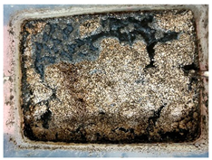 Sustainability 17 00374 i005