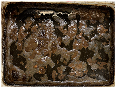 Sustainability 17 00374 i007