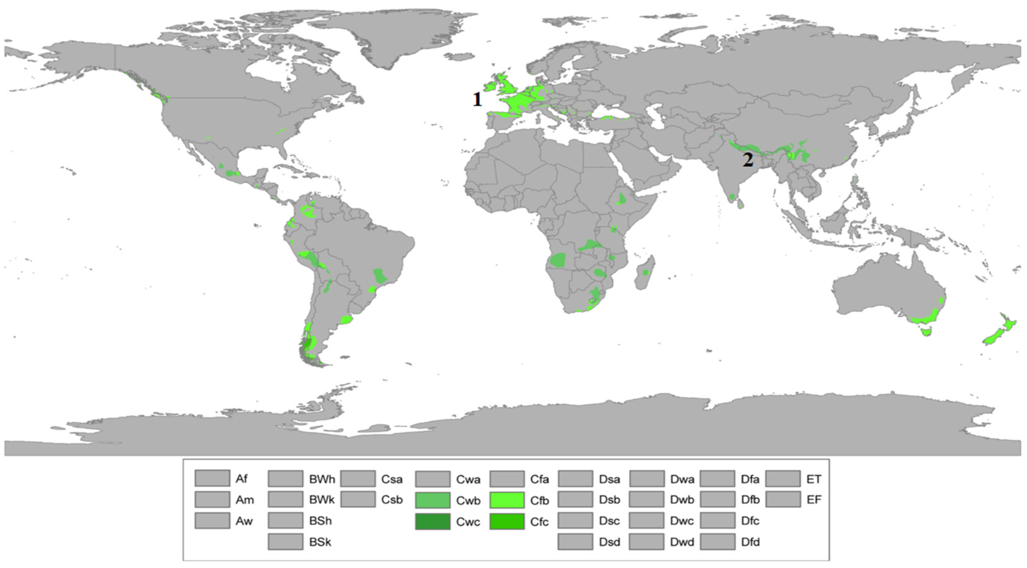 Sustainability 17 00404 g001