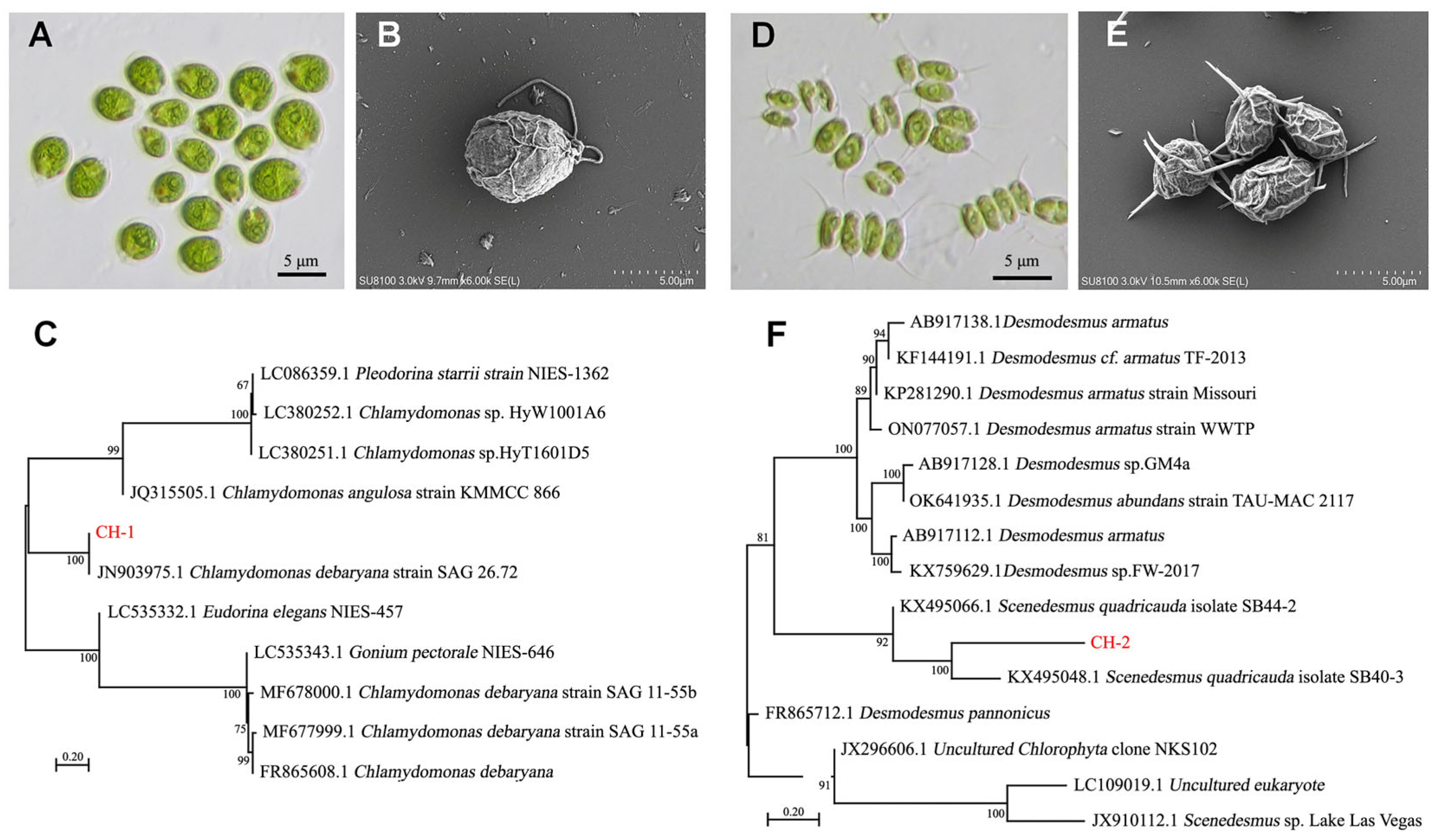 Sustainability 17 00406 g004
