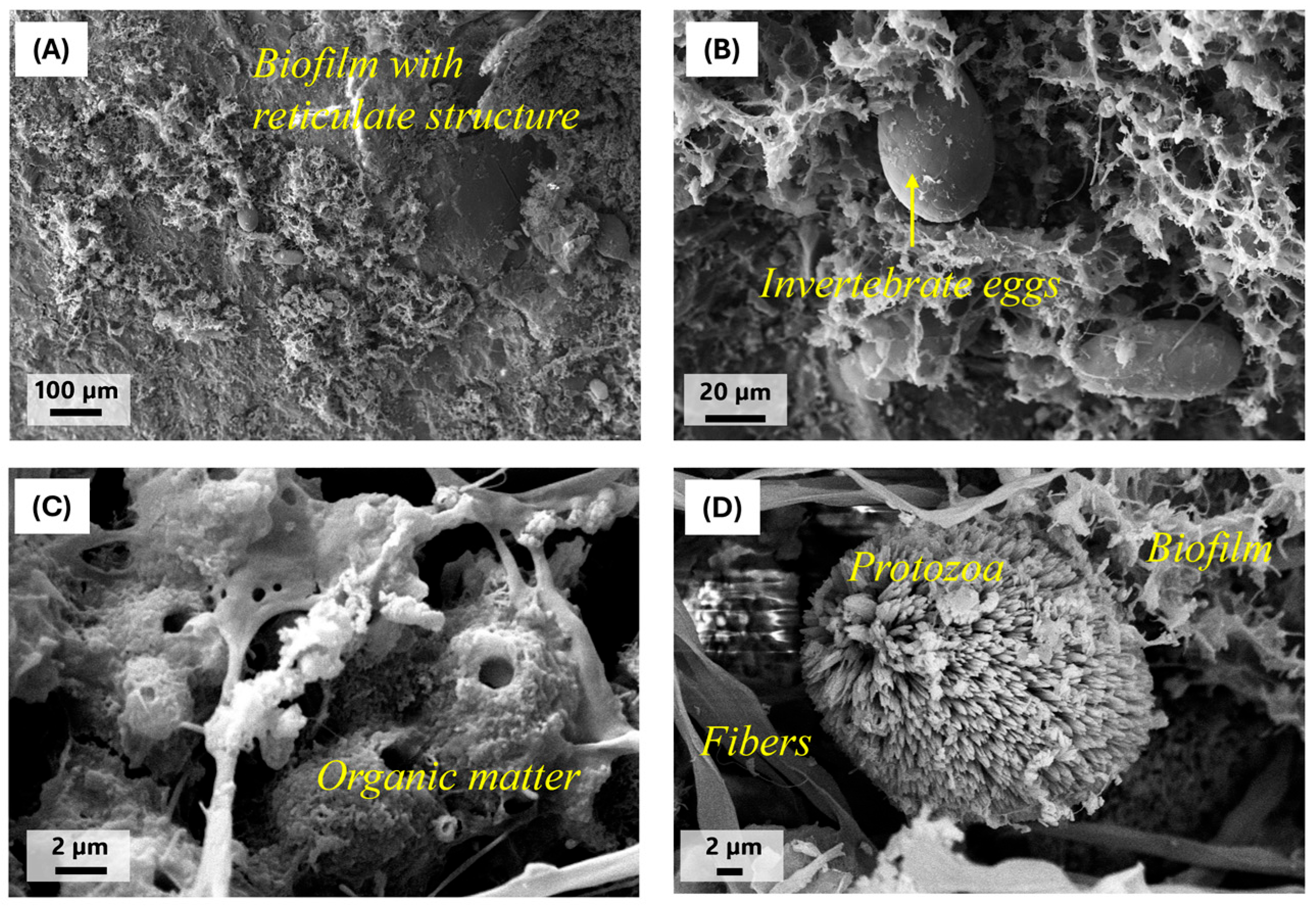 Sustainability 17 00468 g008