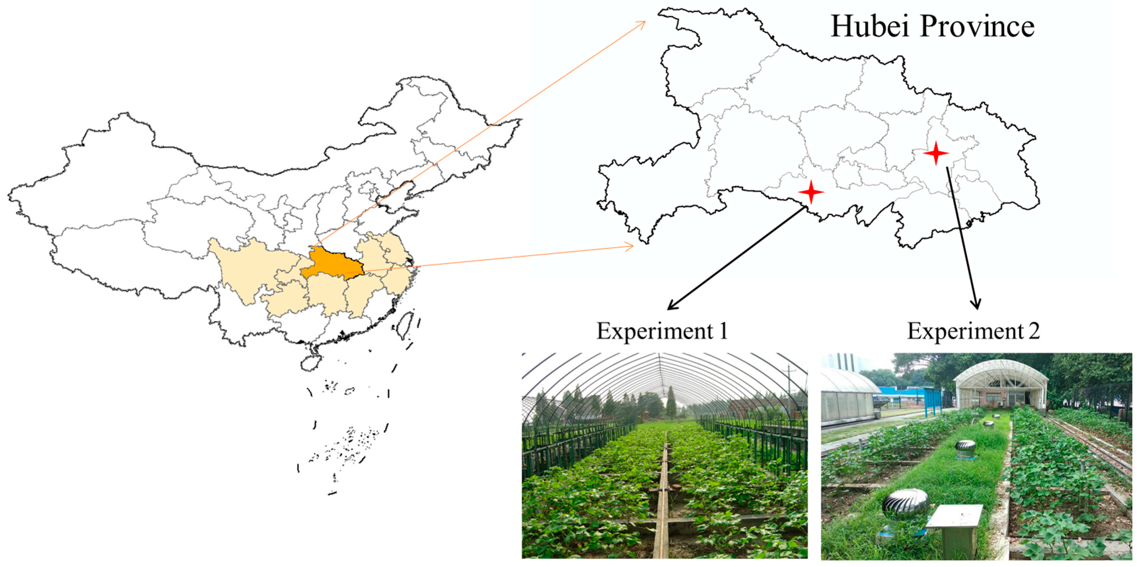 Sustainability 17 00474 g001