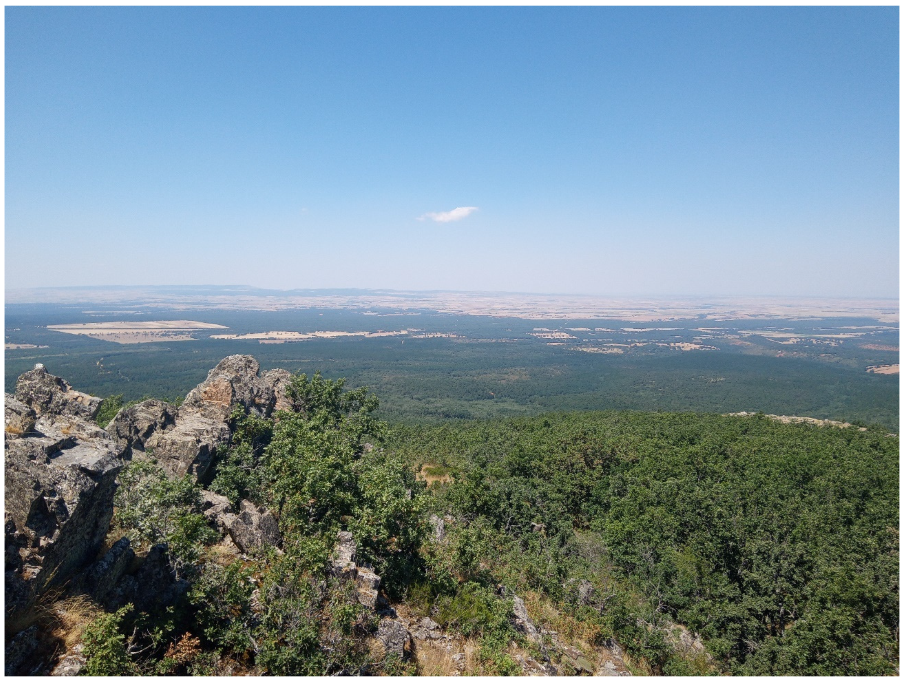 Sustainability 17 00485 g004