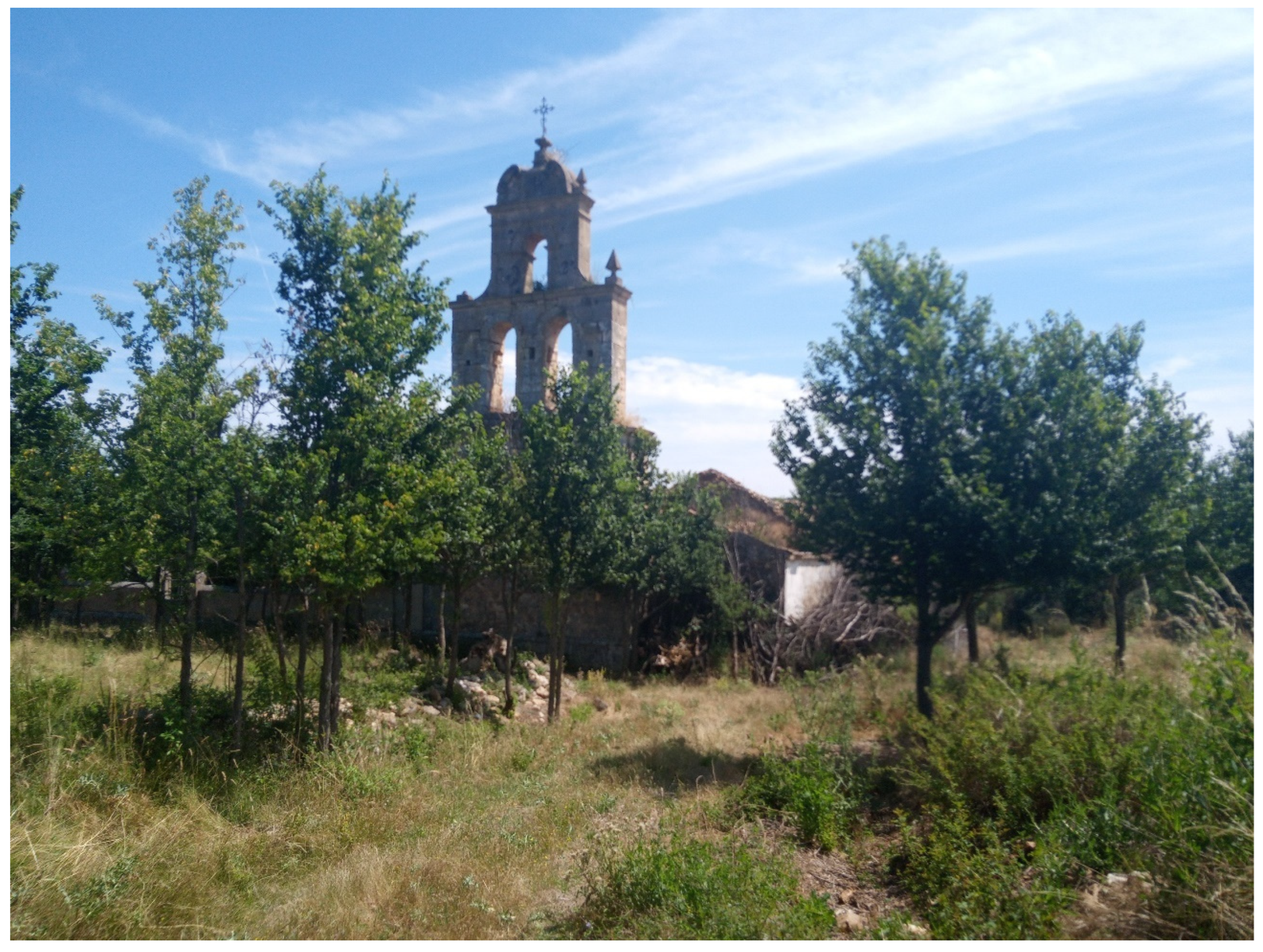 Sustainability 17 00485 g005