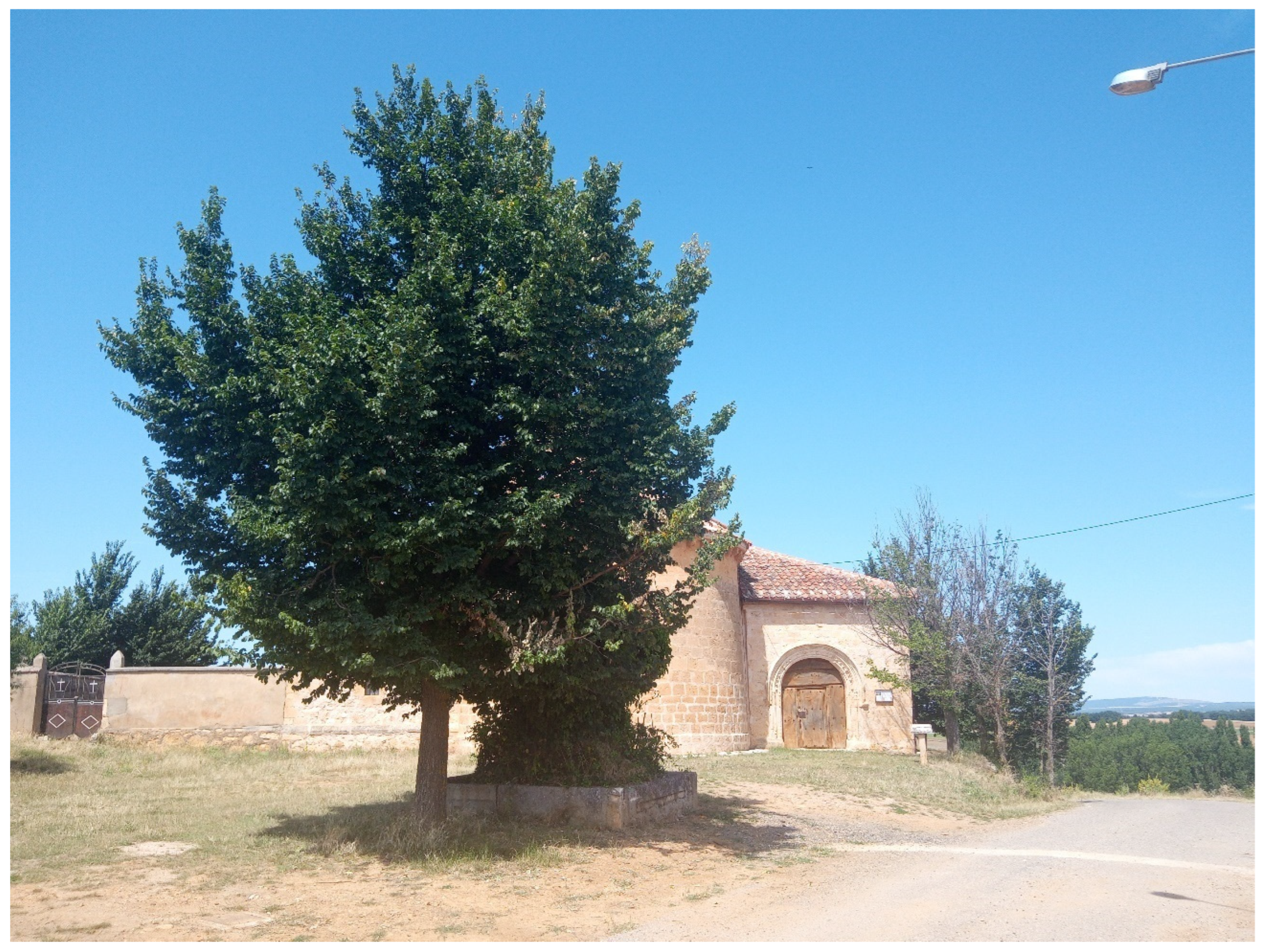 Sustainability 17 00485 g006