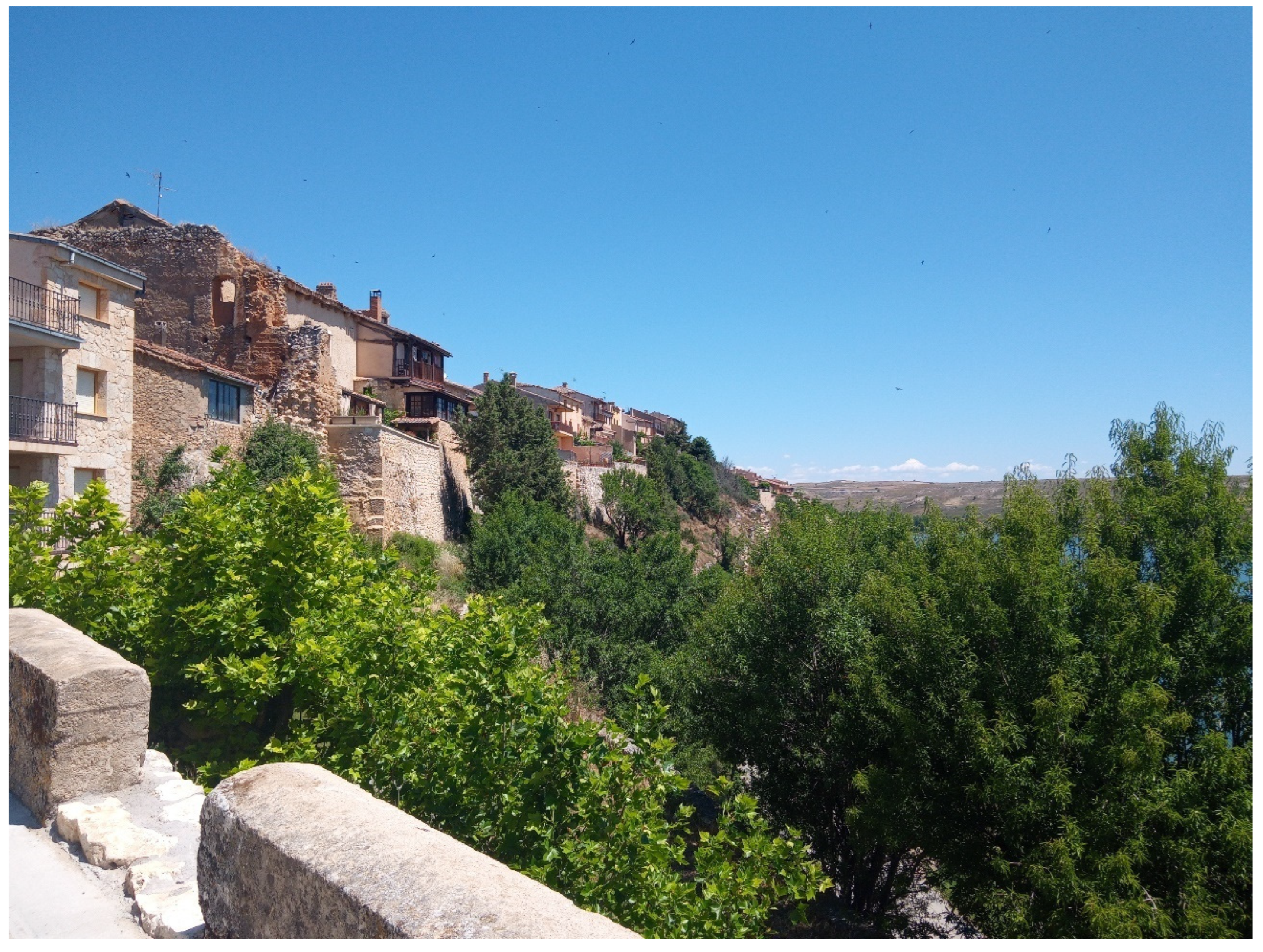 Sustainability 17 00485 g009