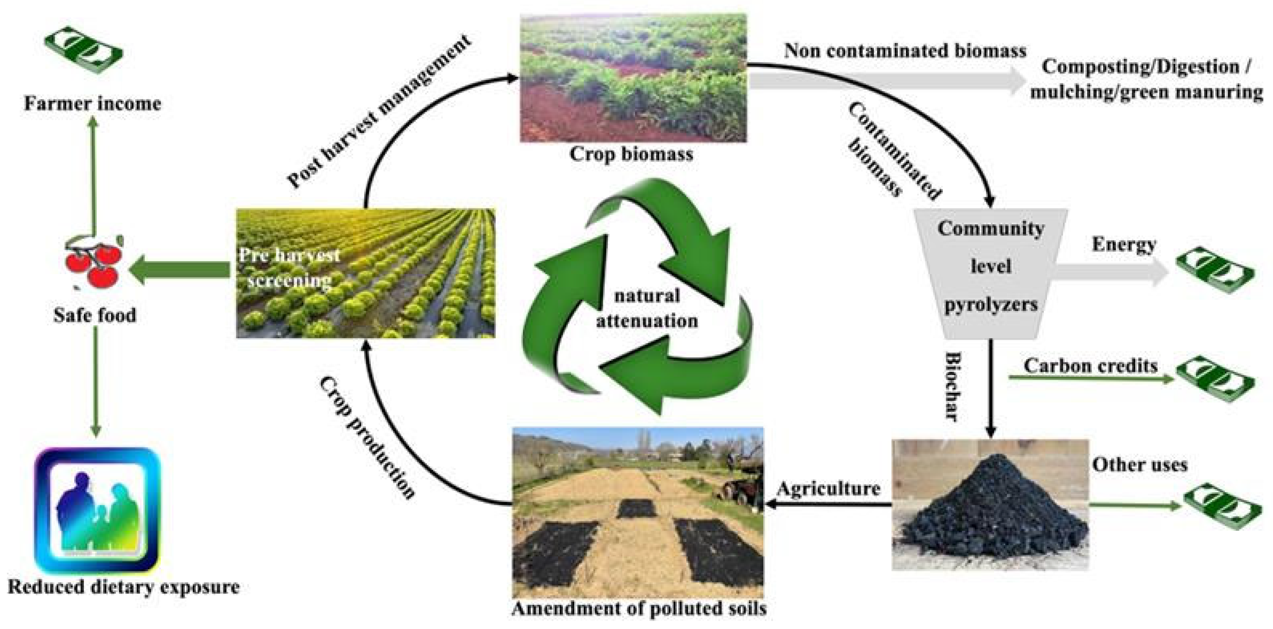 Sustainability 17 00510 g002