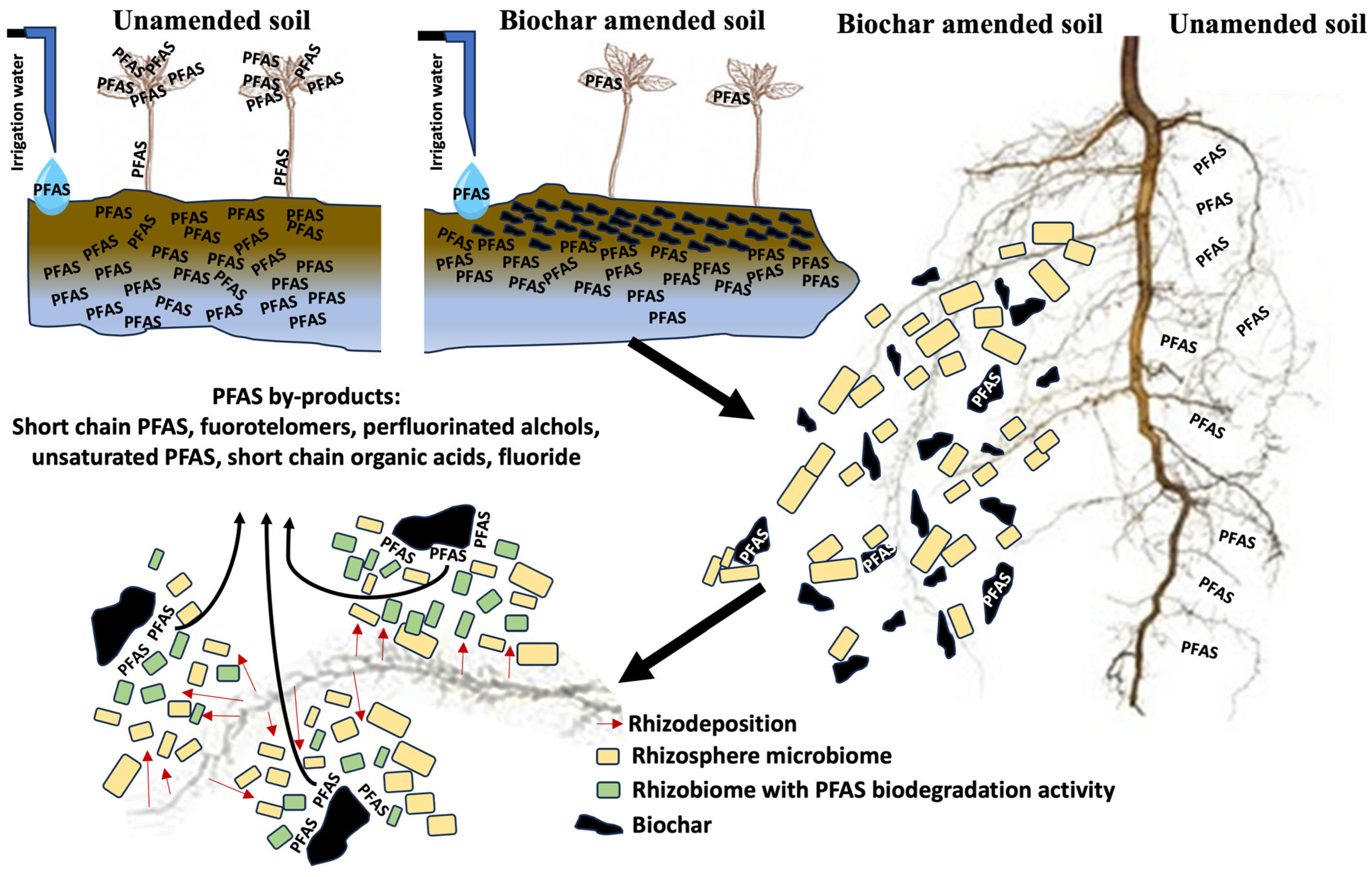 Sustainability 17 00510 g003