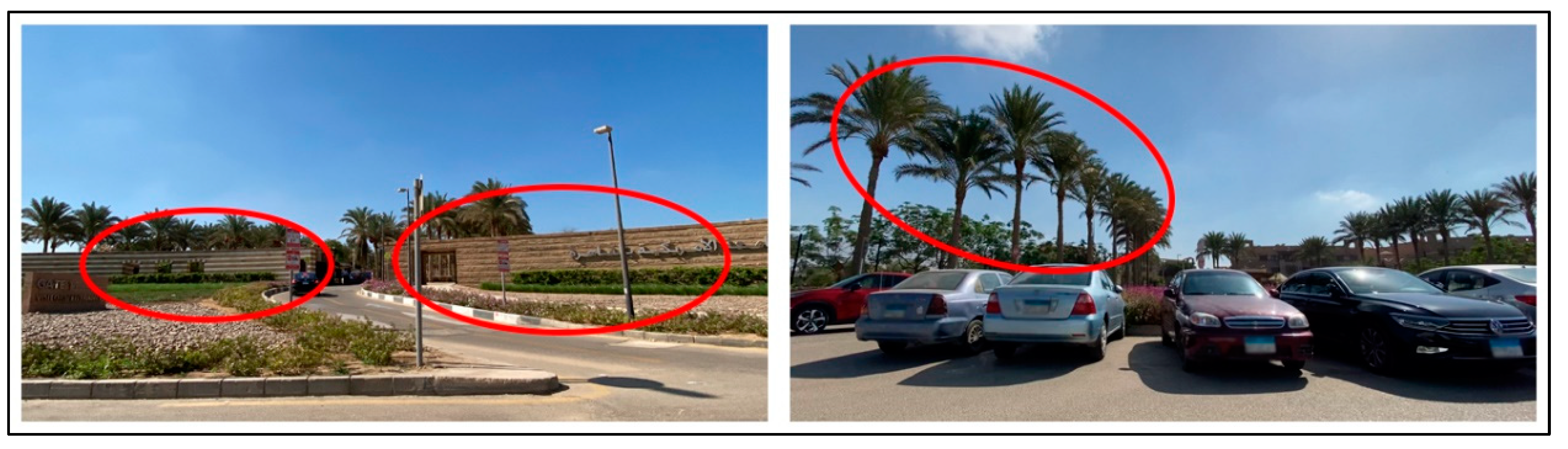 Sustainability 17 00514 g043