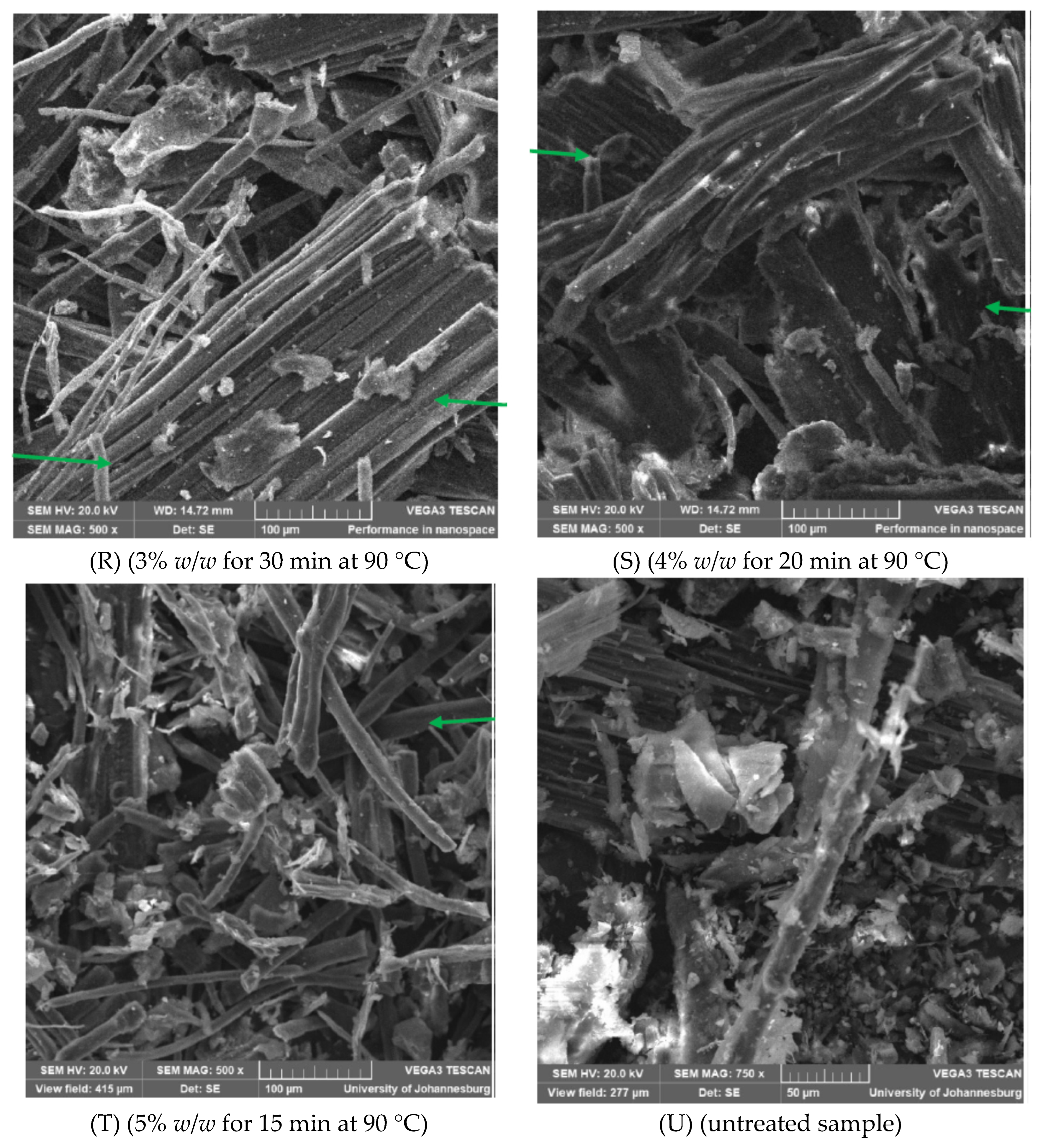 Sustainability 17 00534 g002b