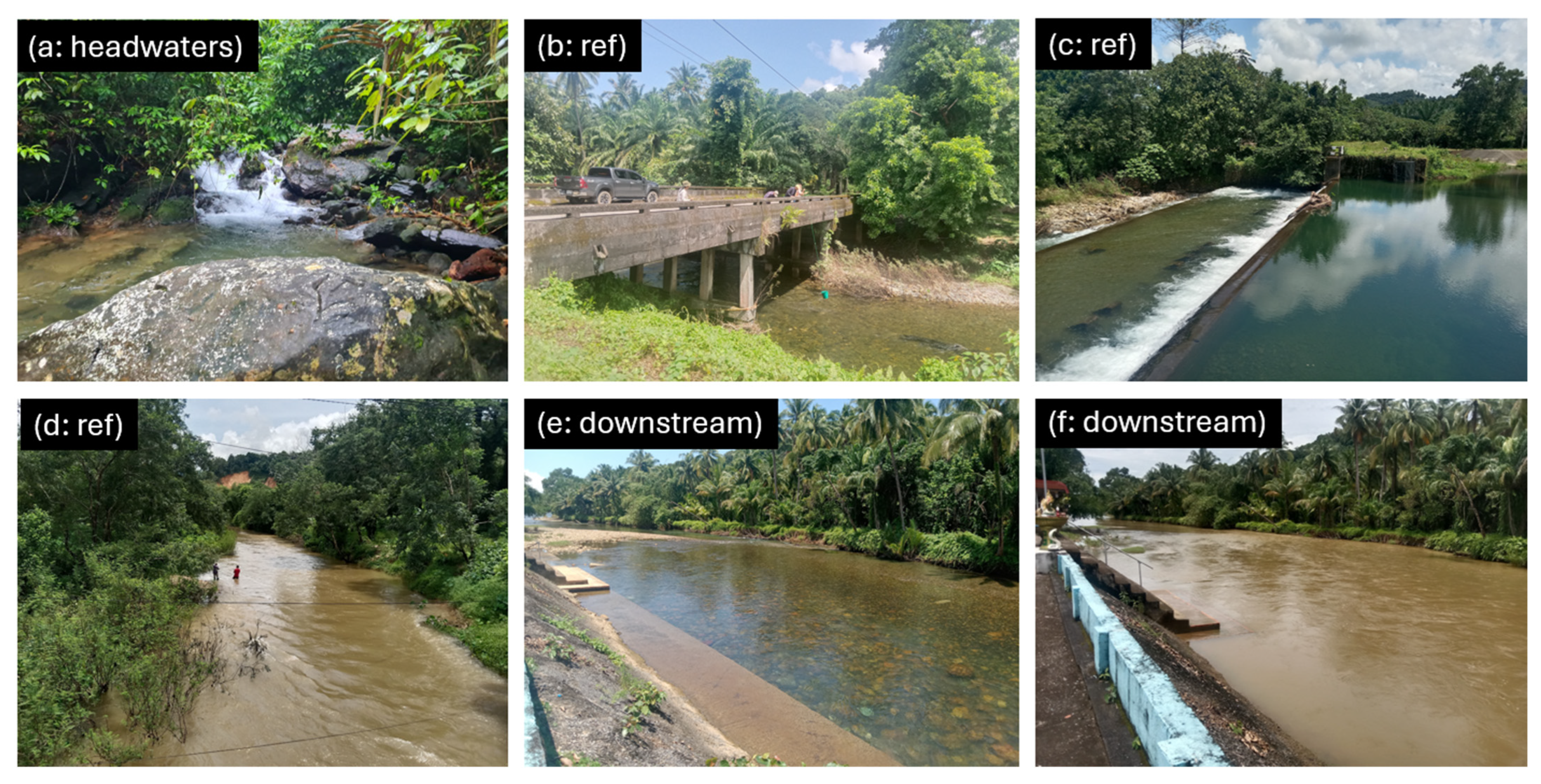 Sustainability 17 00581 g002