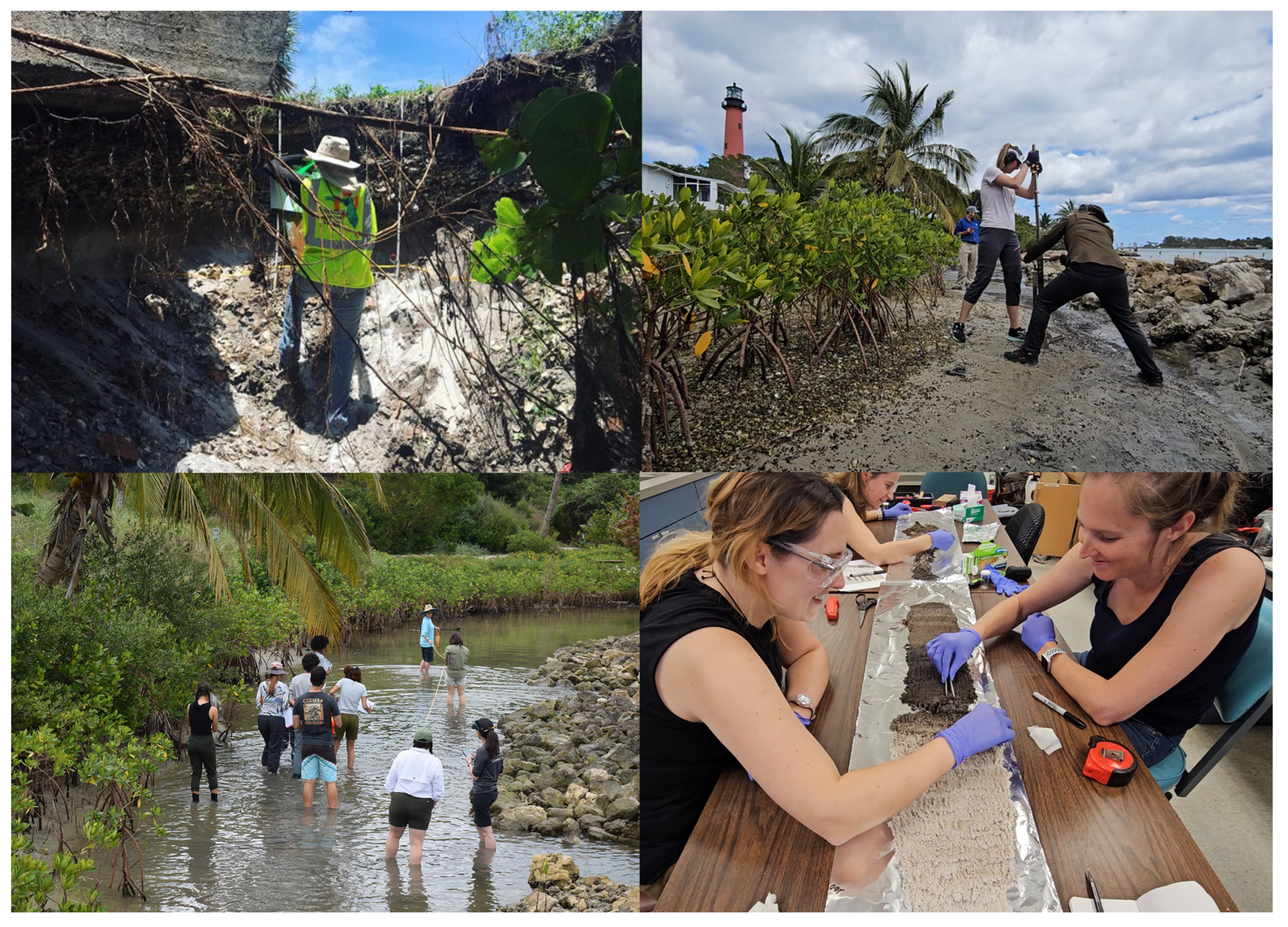 Sustainability 17 00588 g003