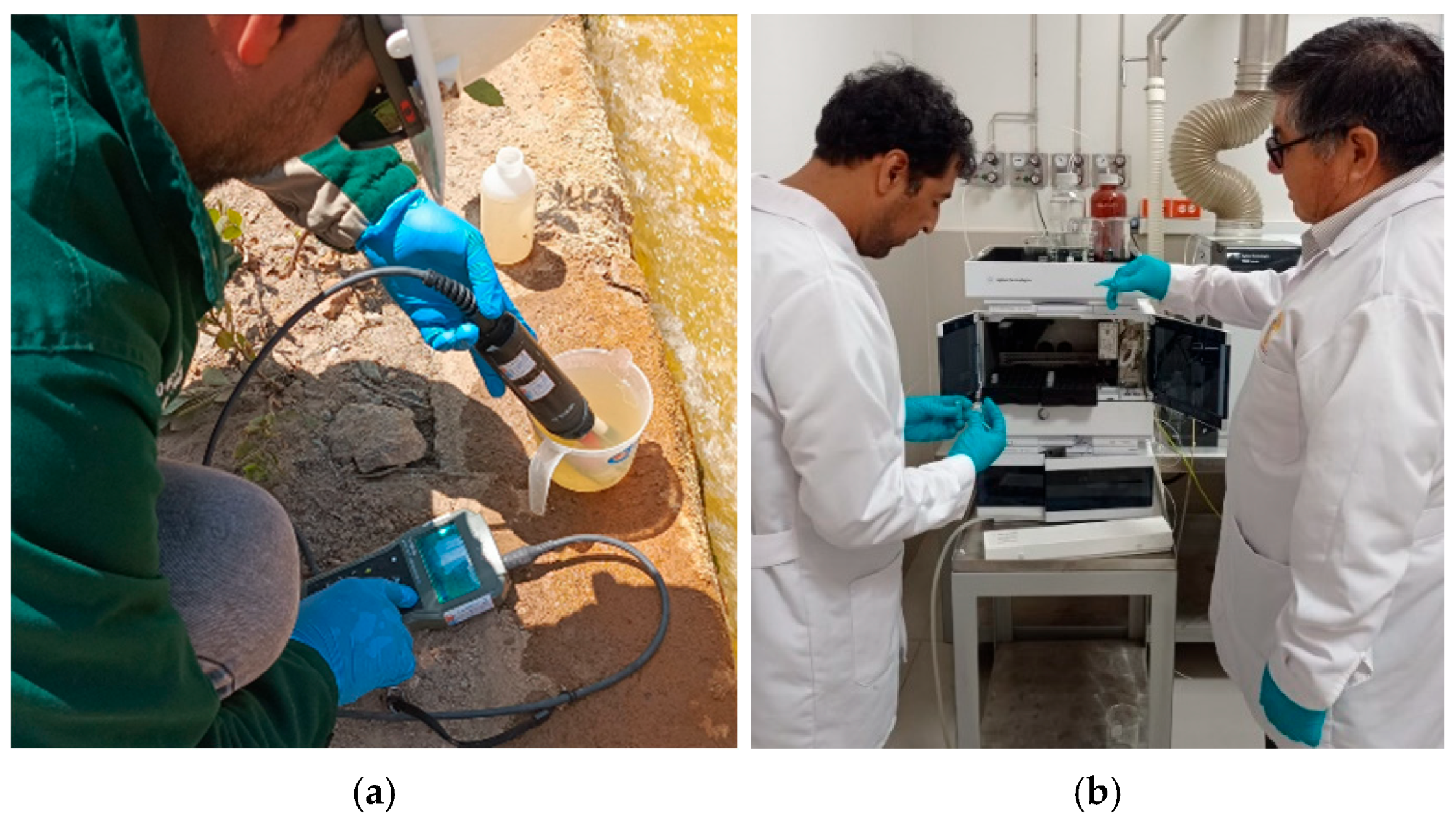 Sustainability 17 00611 g003