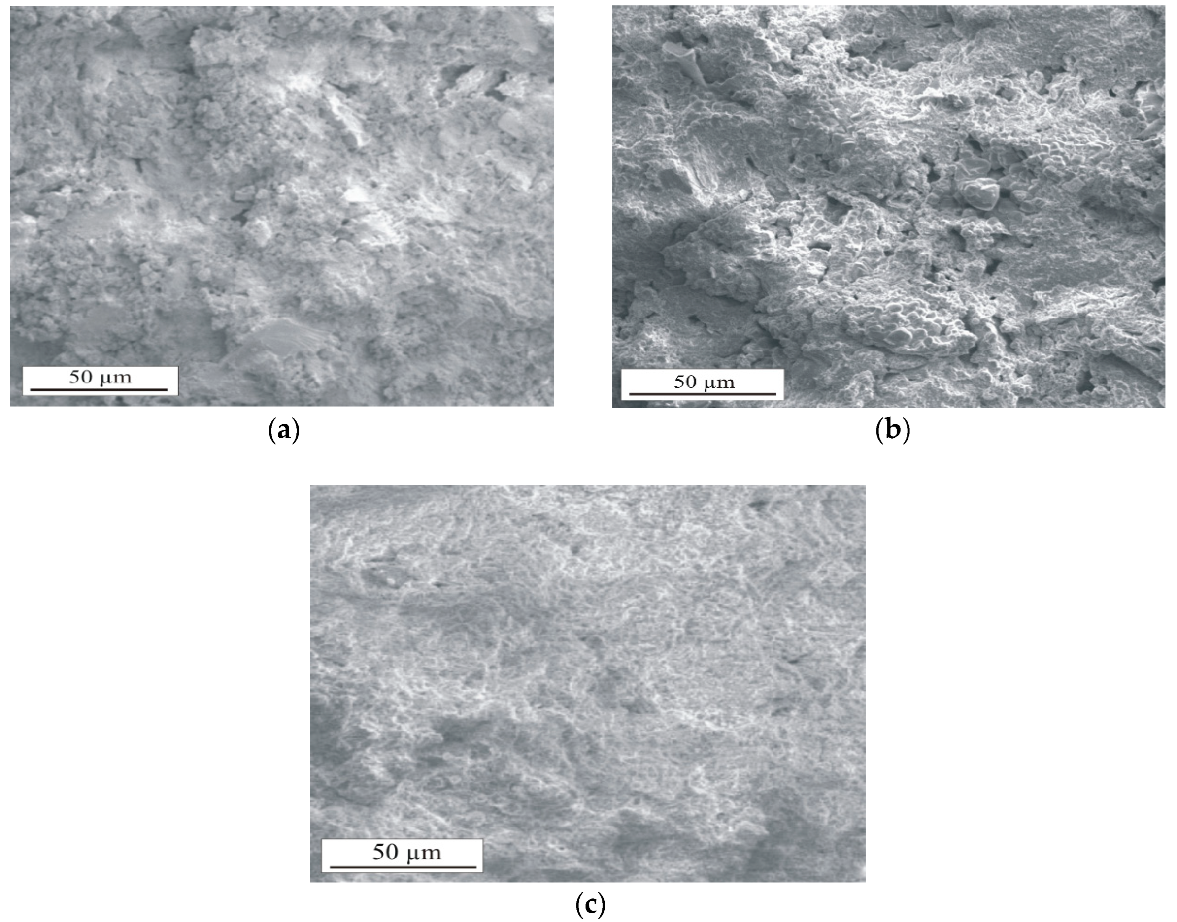 Sustainability 17 00669 g014