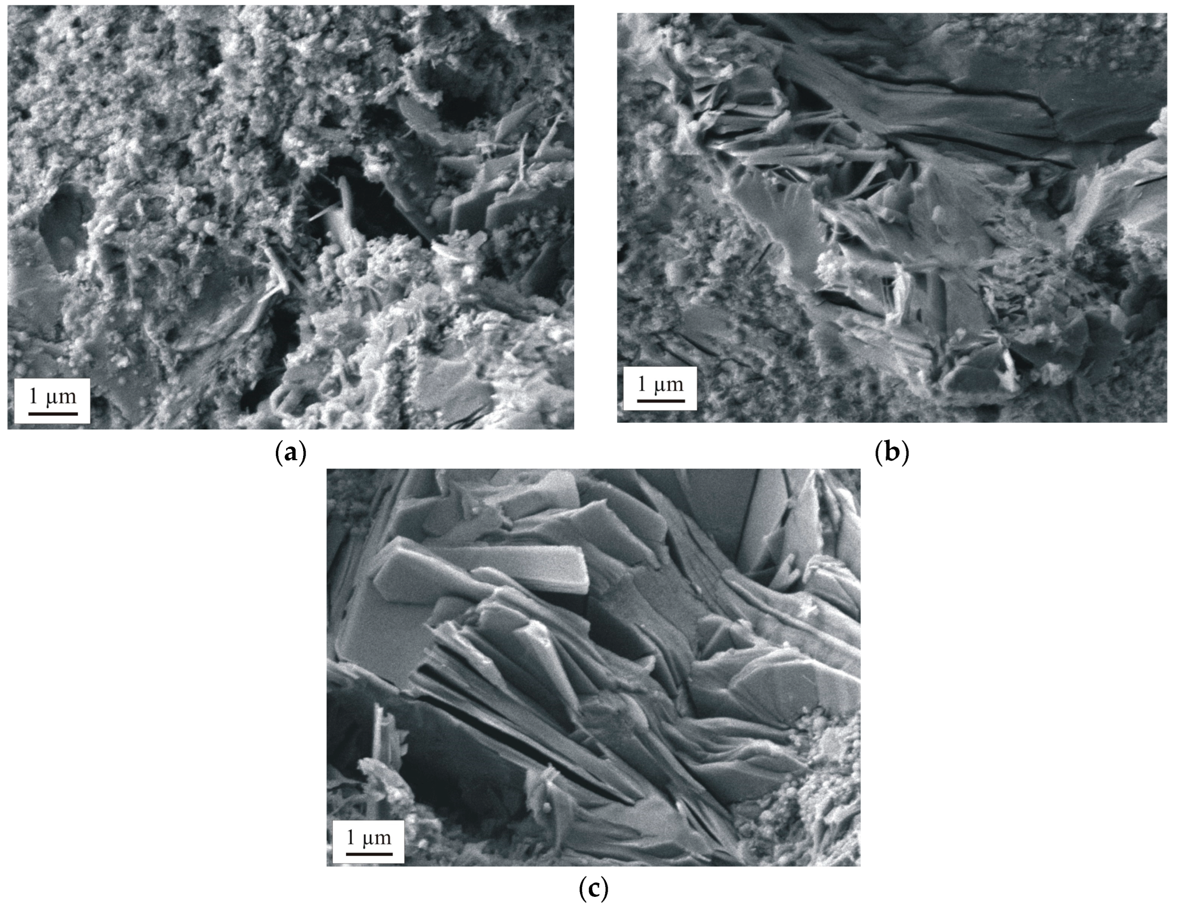Sustainability 17 00669 g015