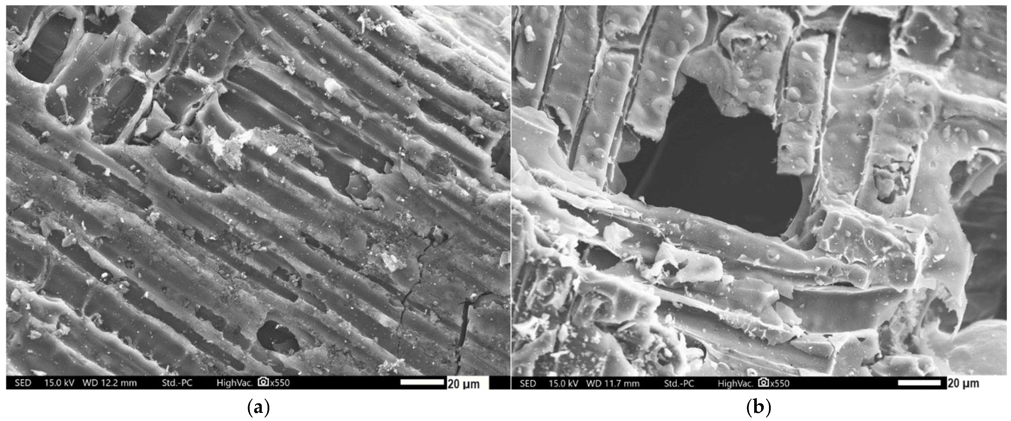 Sustainability 17 00681 g007