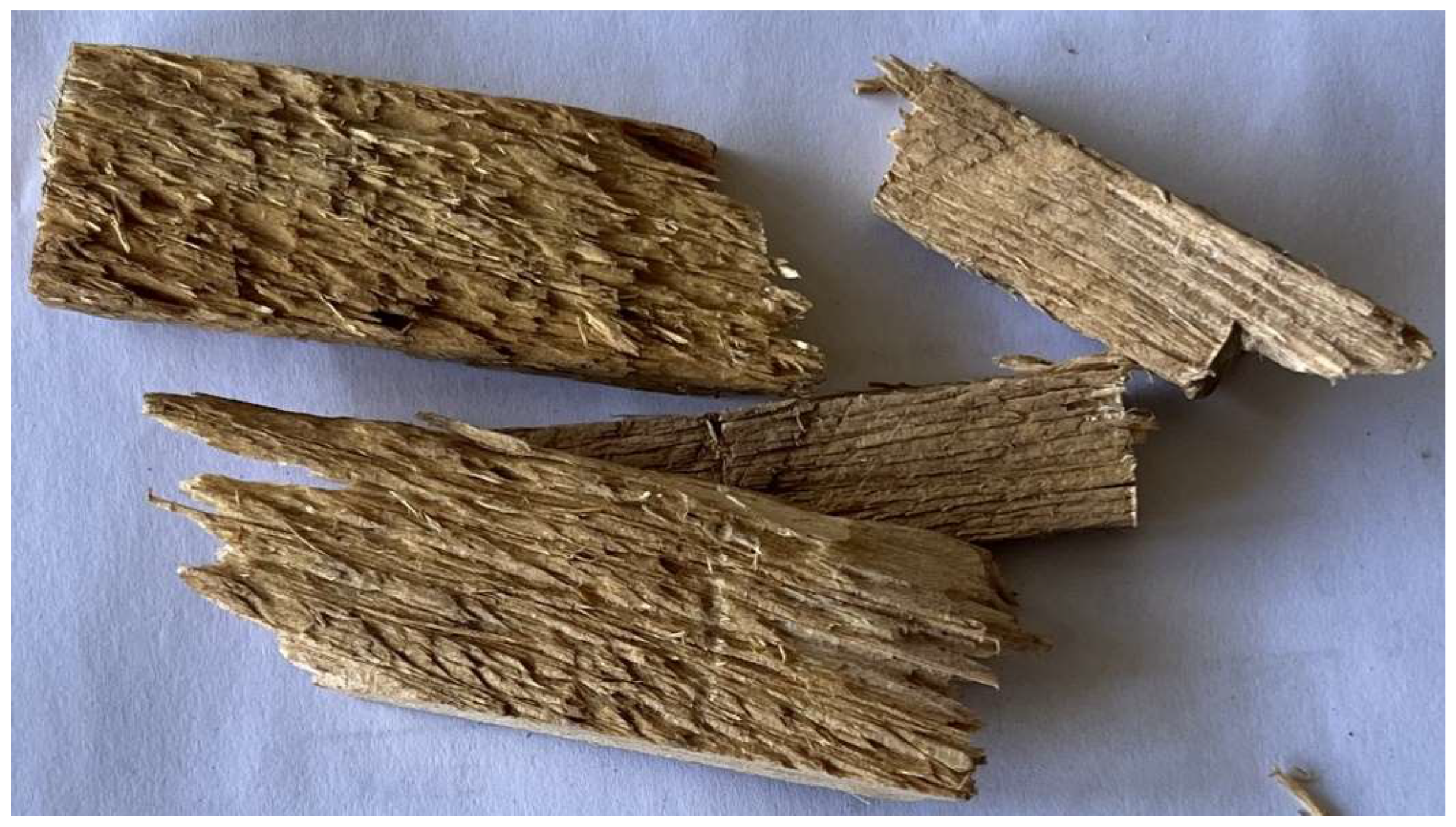 Sustainability 17 00681 g0a1