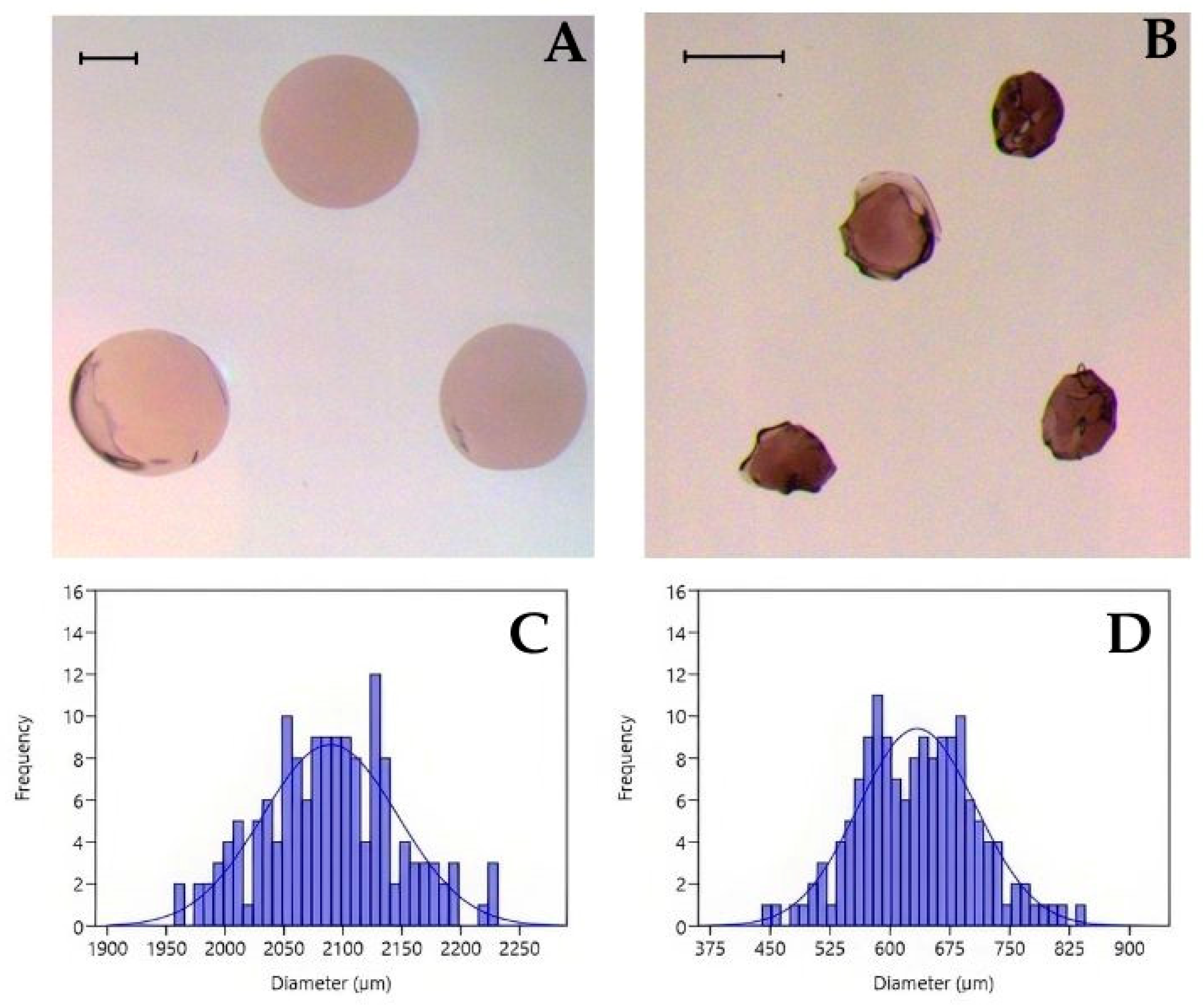 Sustainability 17 00706 g002