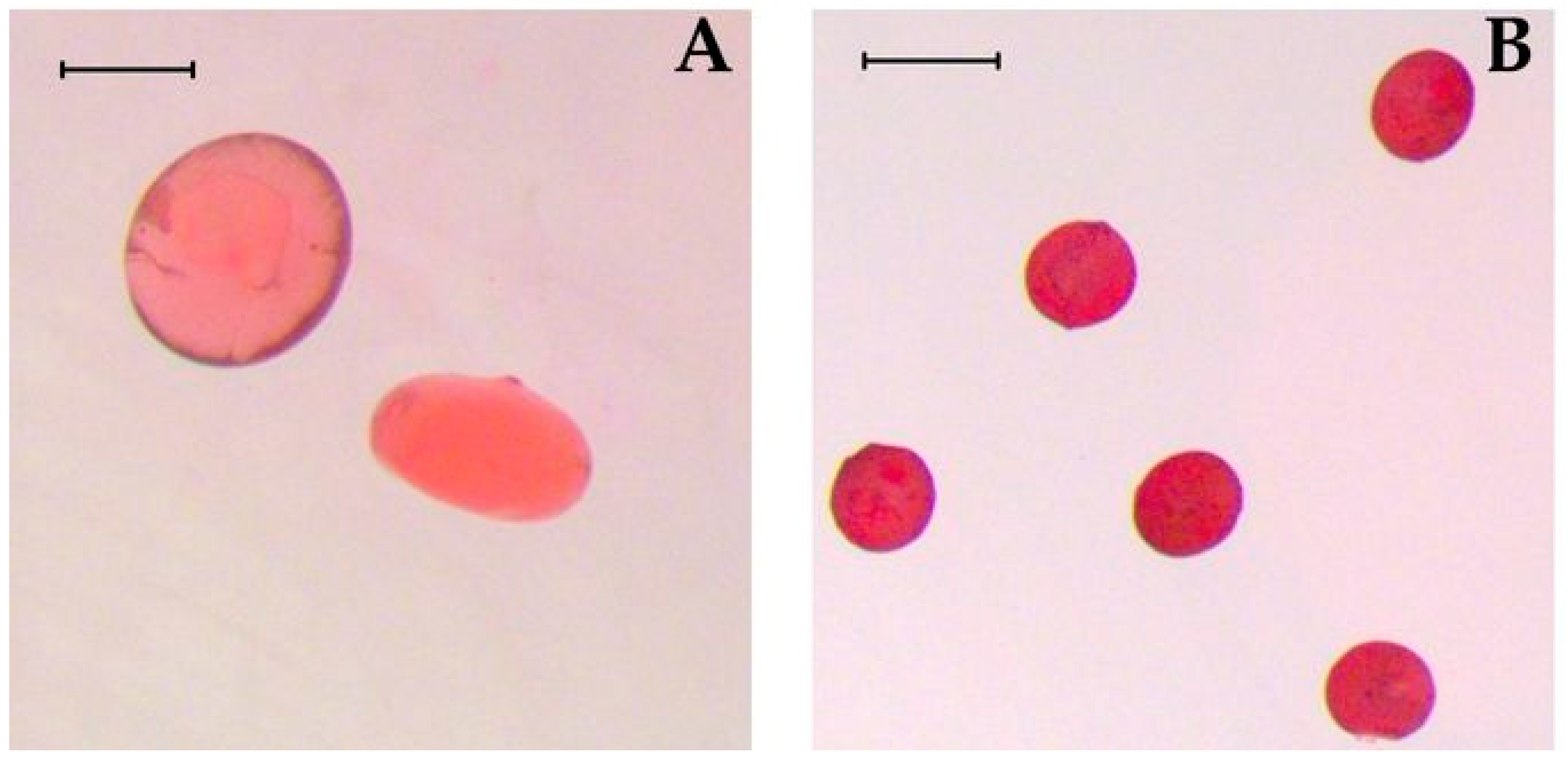 Sustainability 17 00706 g003