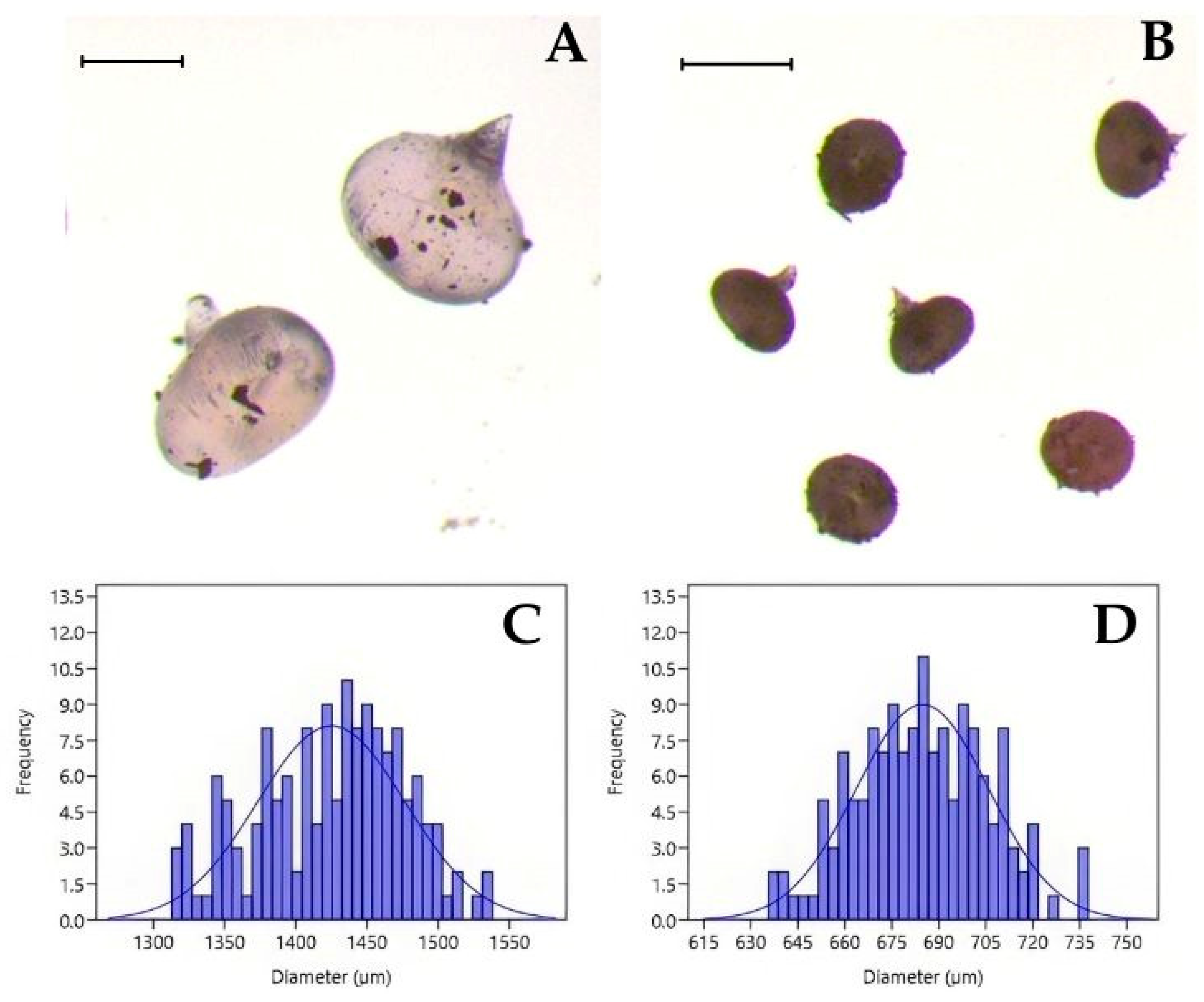 Sustainability 17 00706 g005