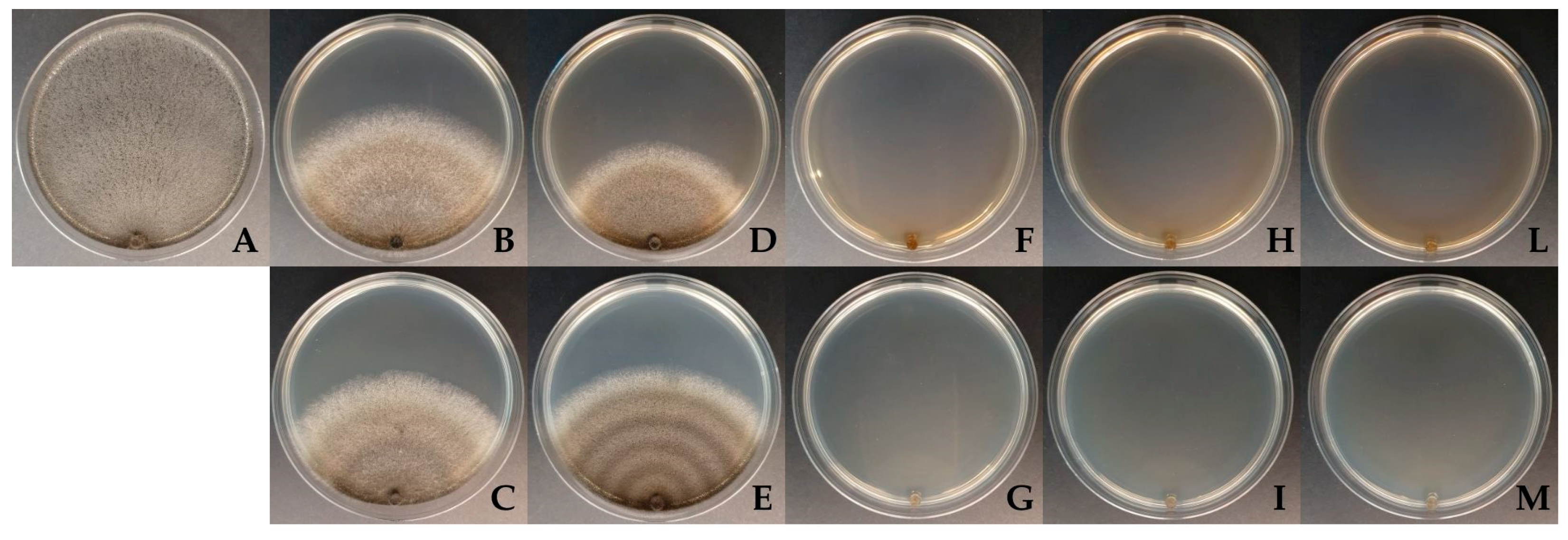 Sustainability 17 00706 g007