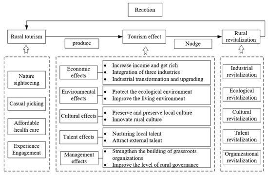 A Comparative Study on the Promoting Effects of Different