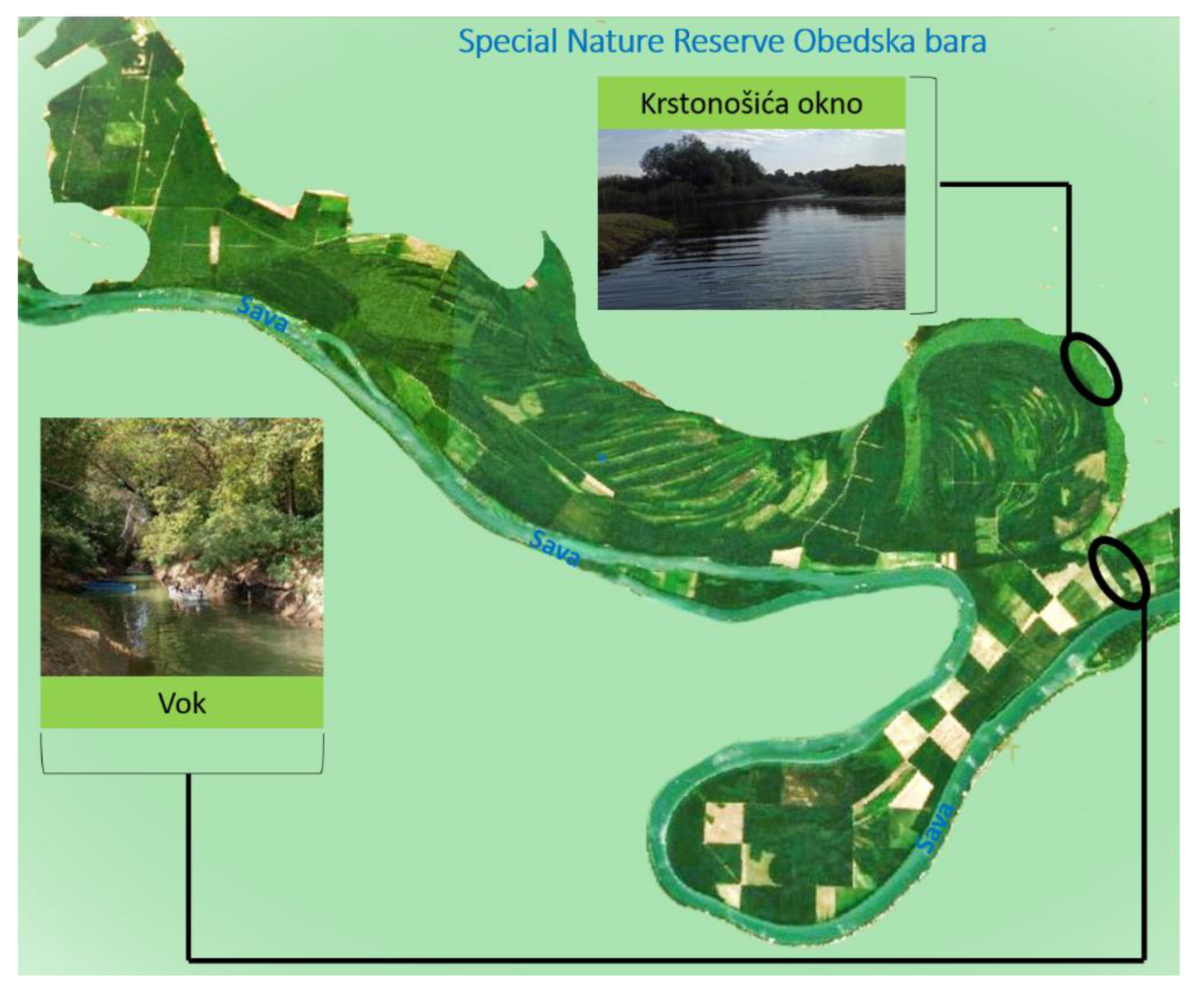 Sustainability 17 00749 g002