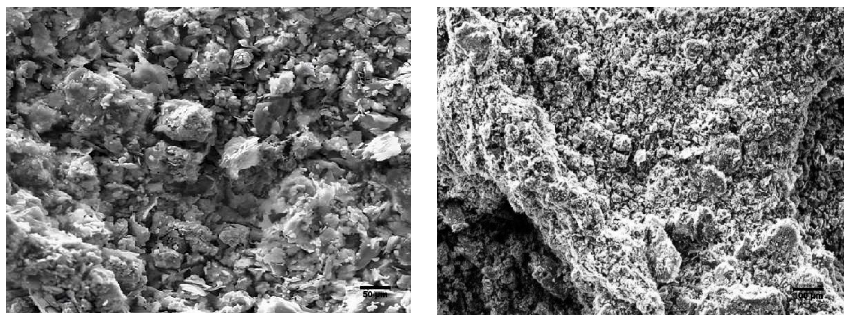 Sustainability 17 00785 g003