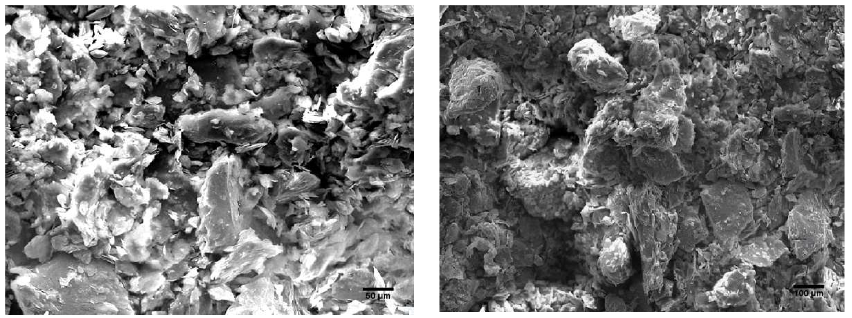 Sustainability 17 00785 g004