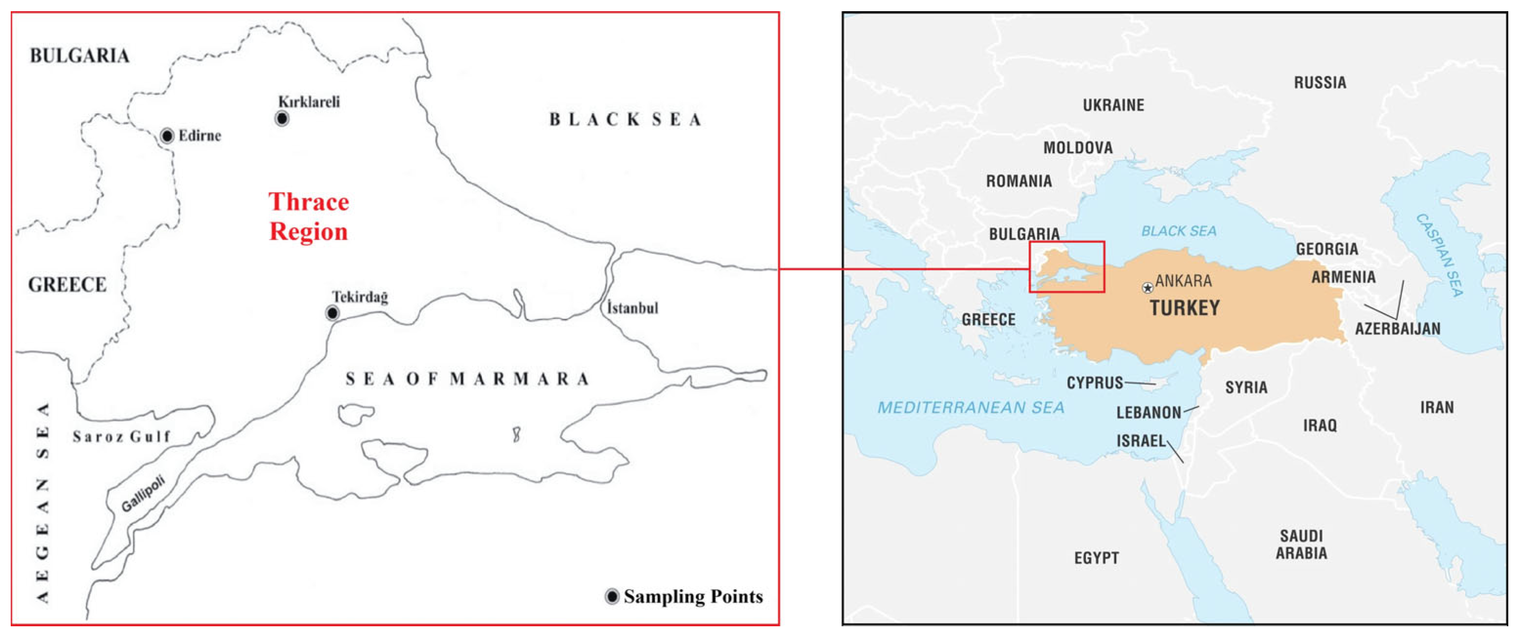 Sustainability 17 00786 sch002