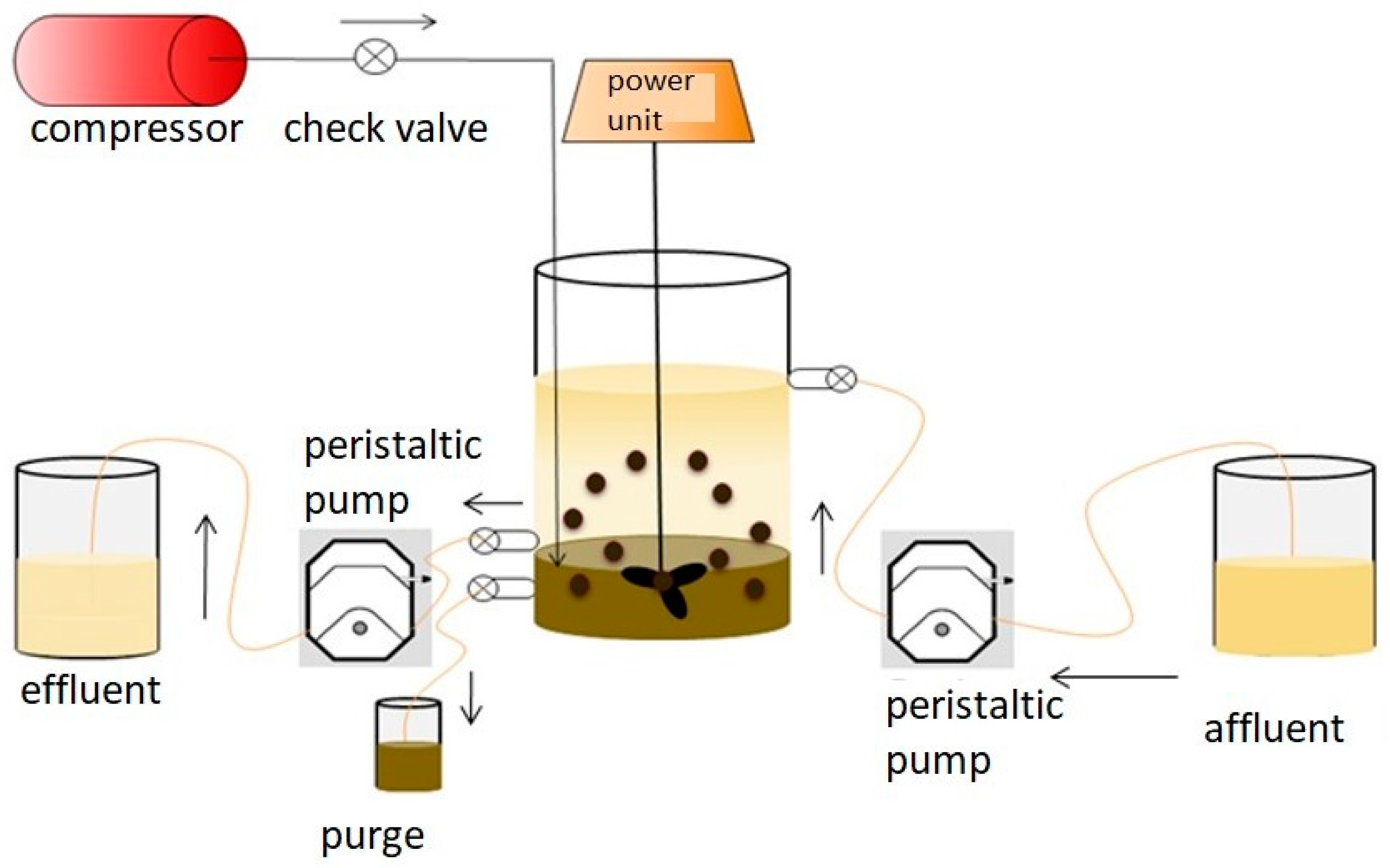 Sustainability 17 00818 g002