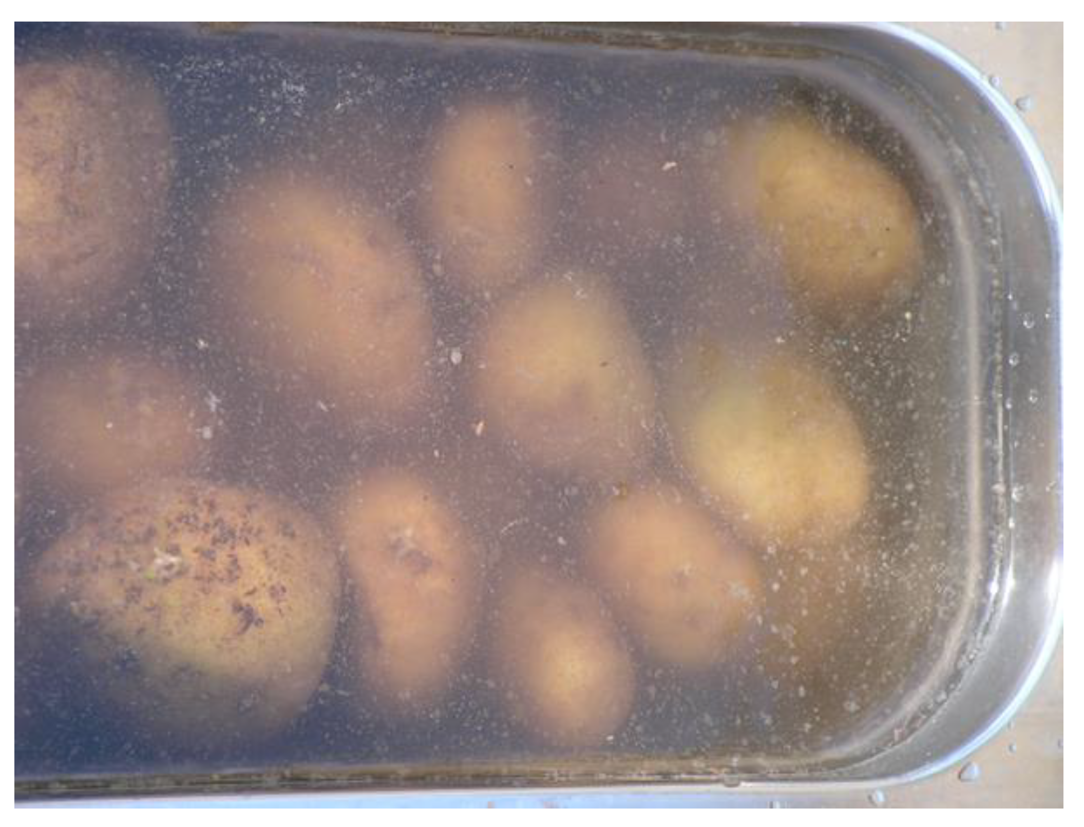 Sustainability 17 00828 g002