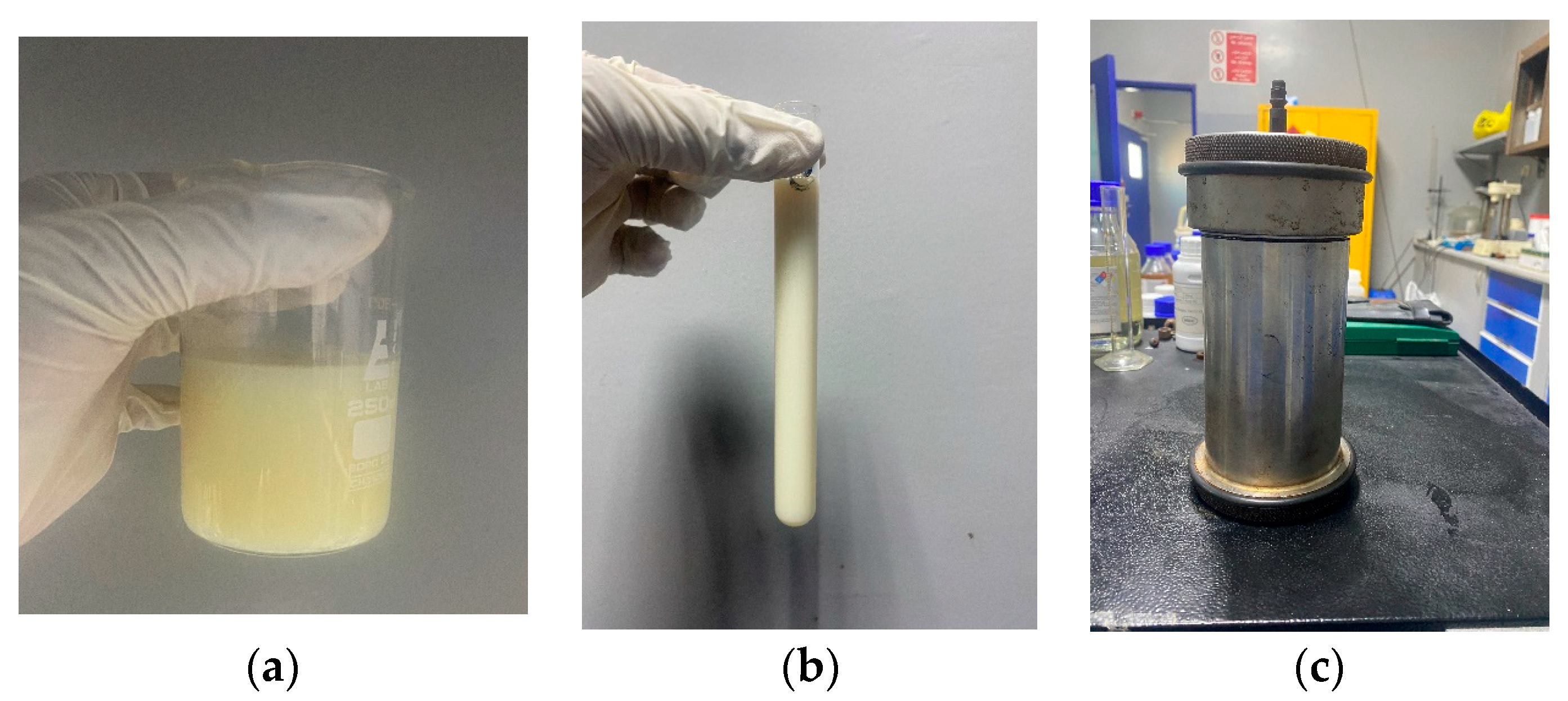 Sustainability 17 00856 g002