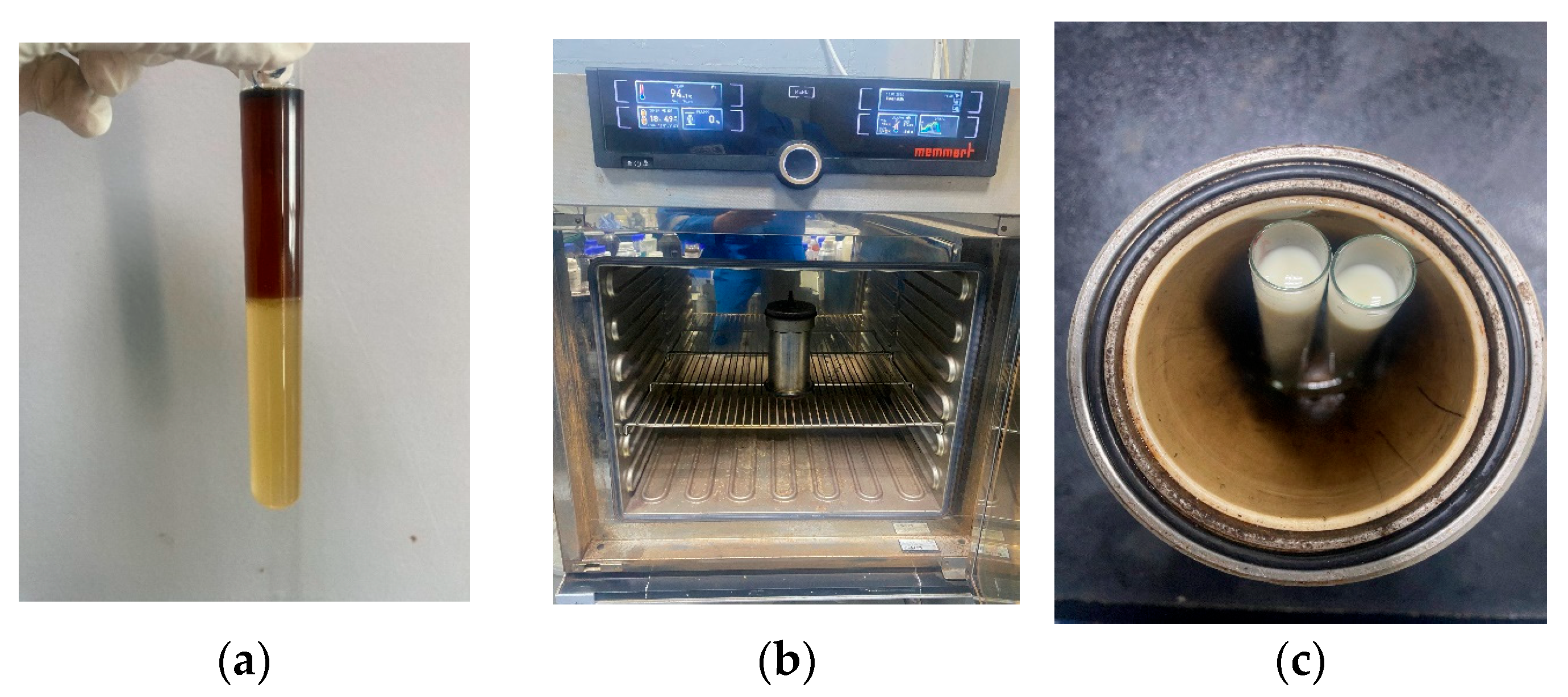 Sustainability 17 00856 g003