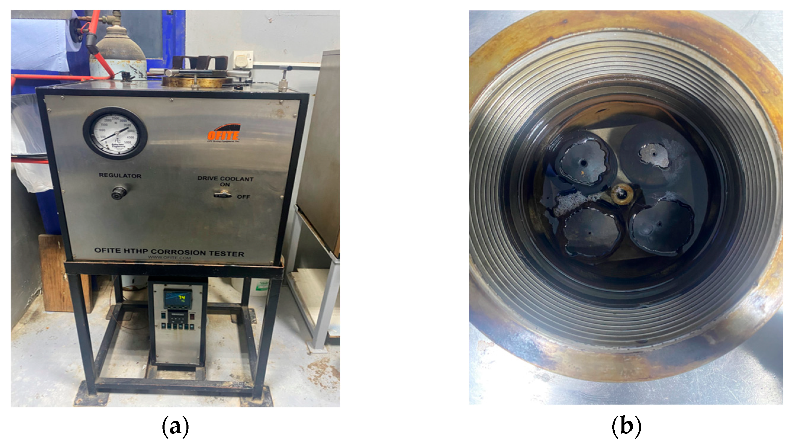 Sustainability 17 00856 g004