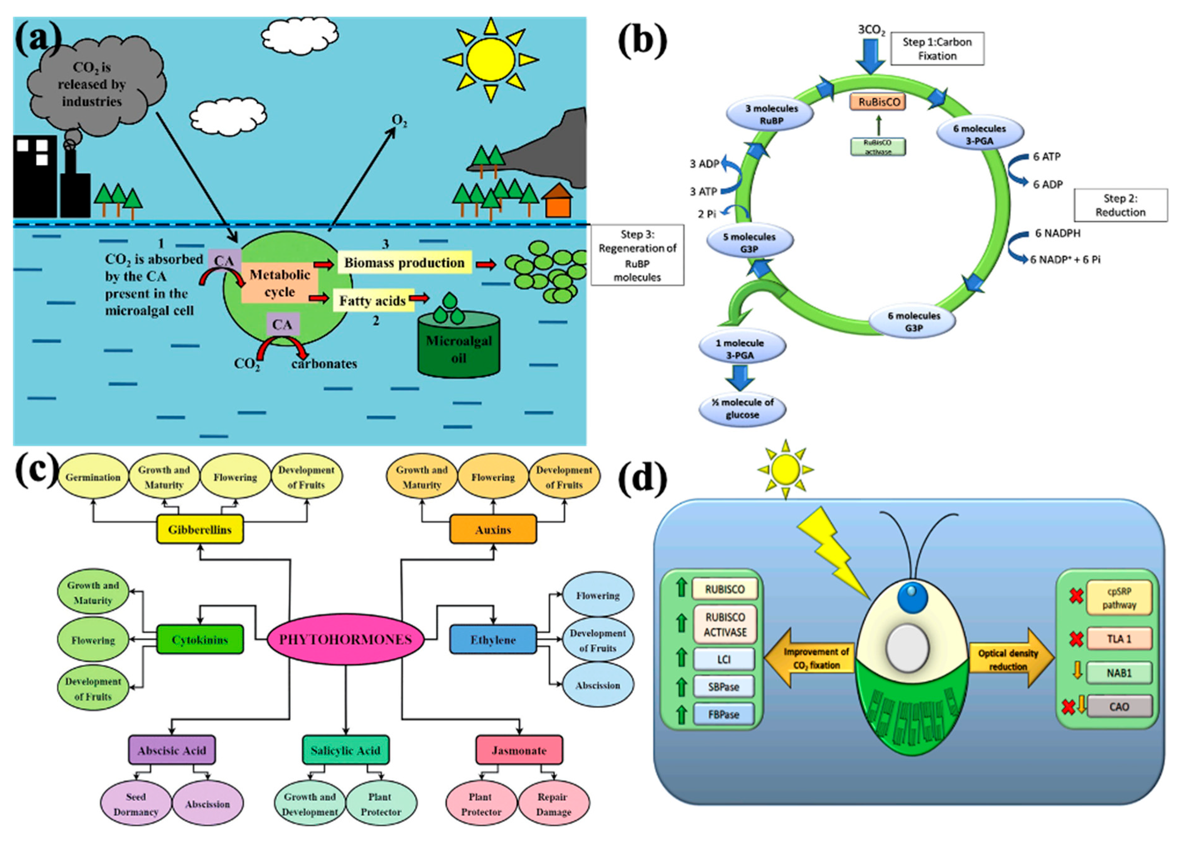 Sustainability 17 00860 g002