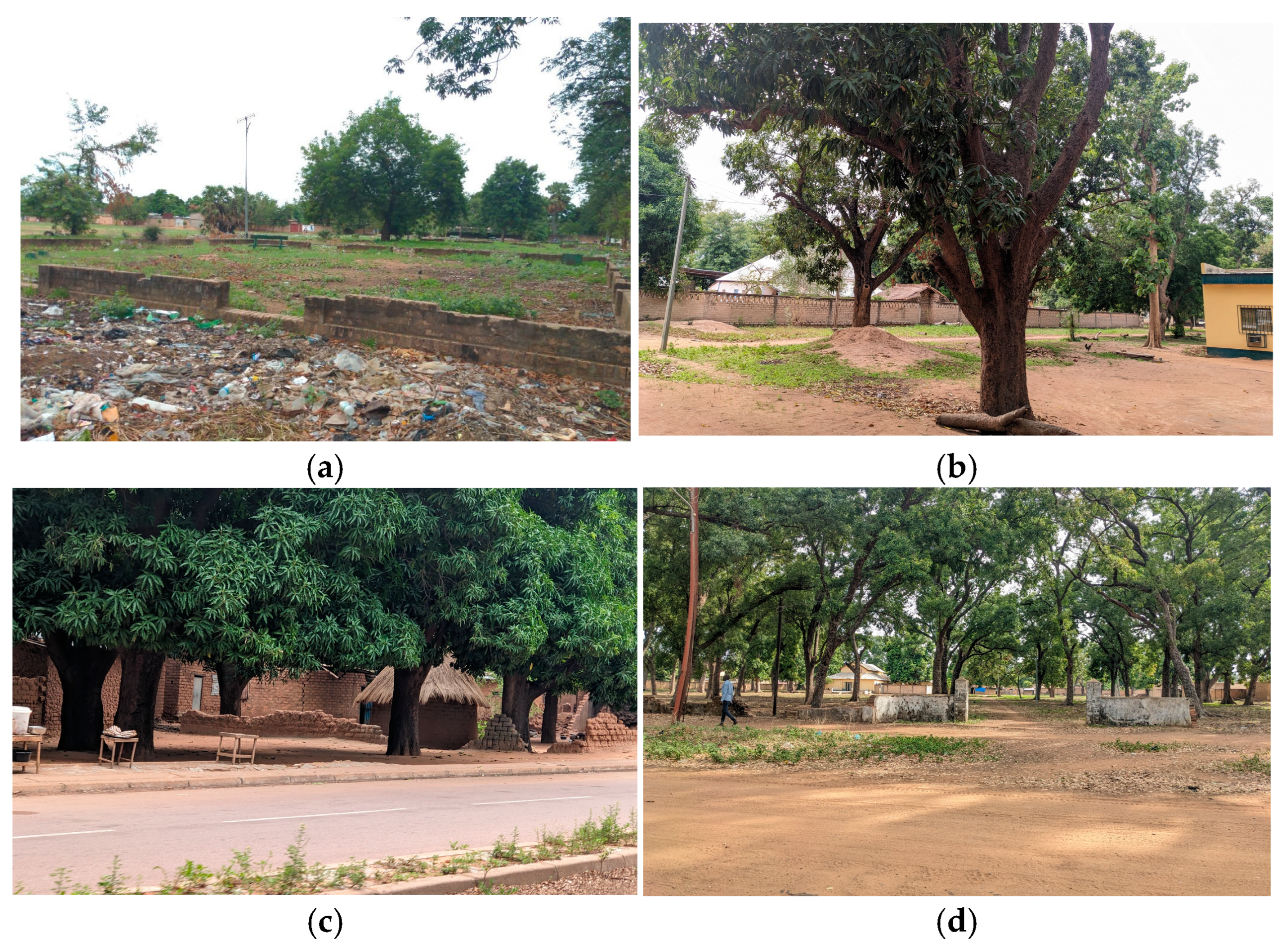 Sustainability 17 00885 g005