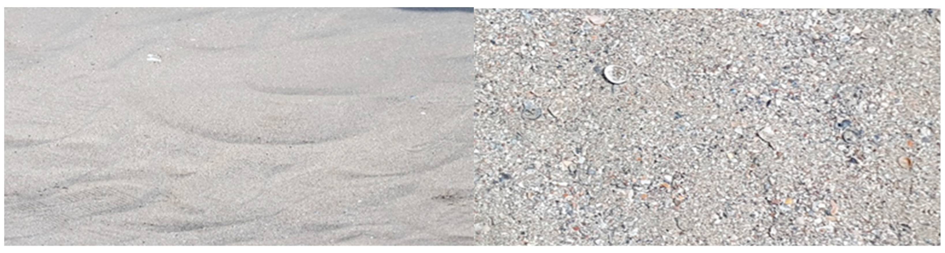 Sustainability 17 00922 g003