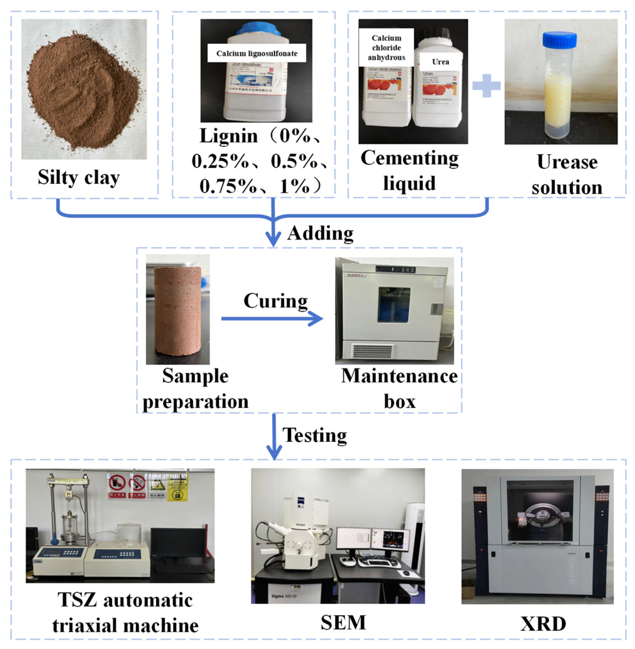 Sustainability 17 00975 g002