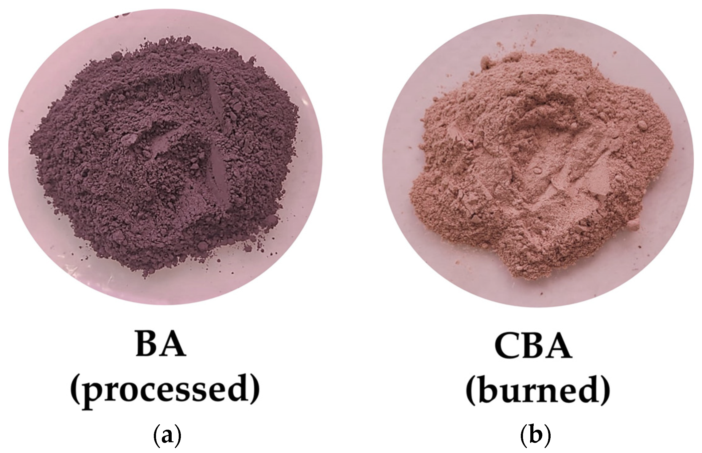 Sustainability 17 00979 g002