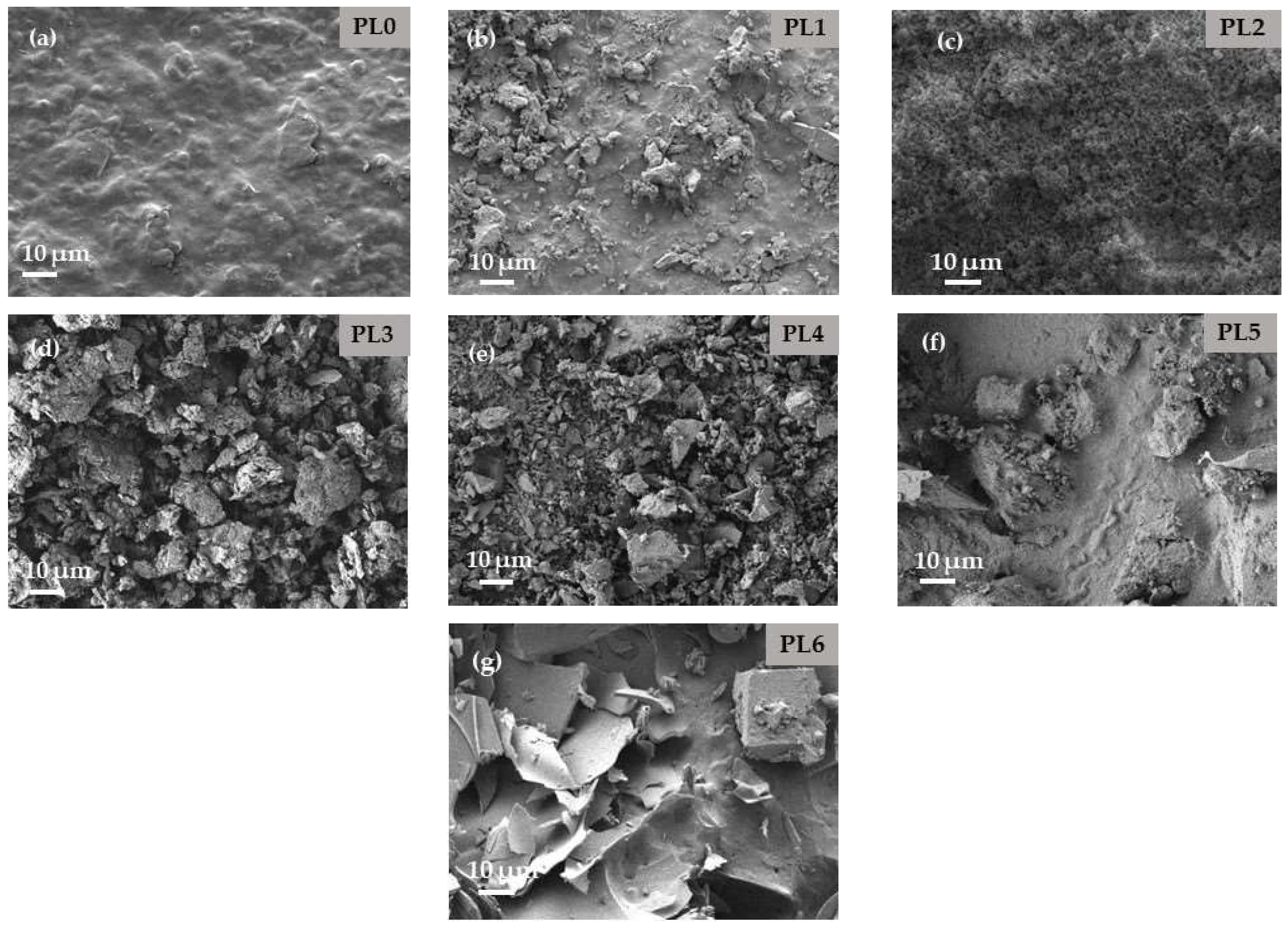 Sustainability 17 01052 g001