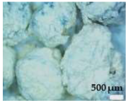 Sustainability 17 01052 i004