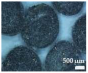 Sustainability 17 01052 i007