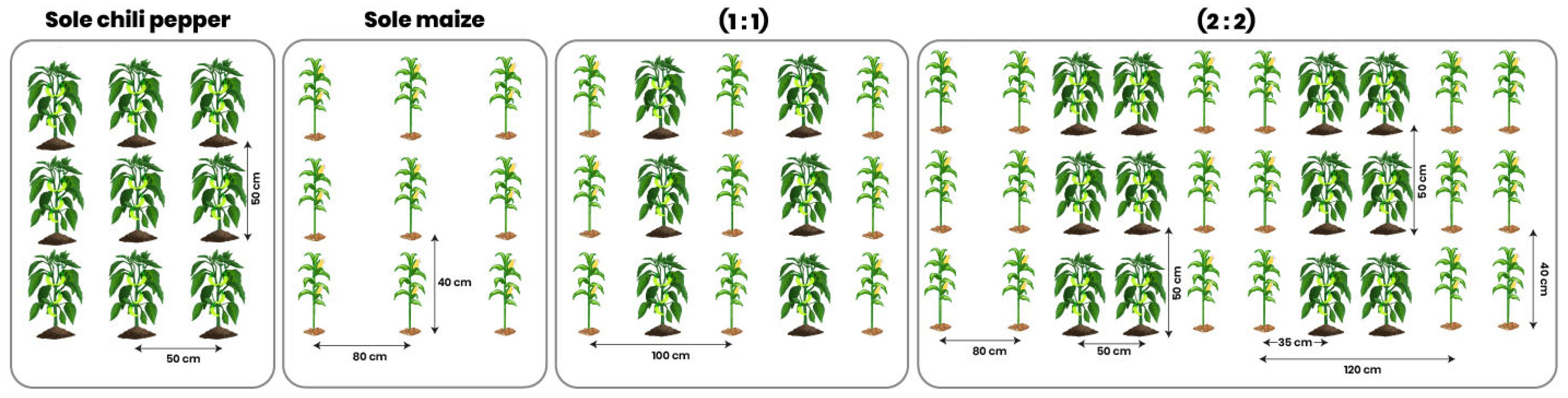 Sustainability 17 01076 g001