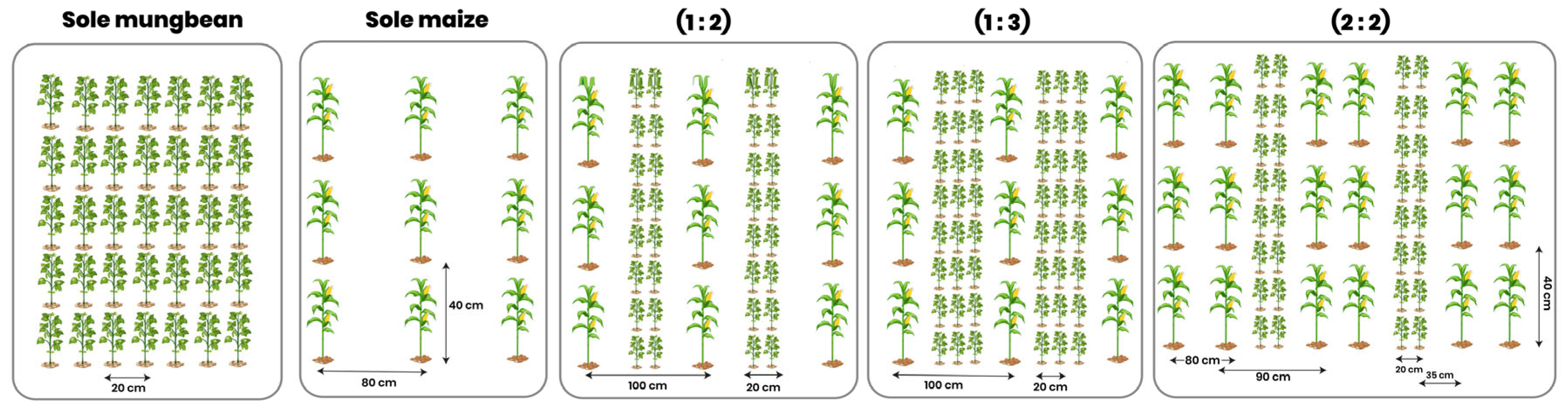 Sustainability 17 01076 g002